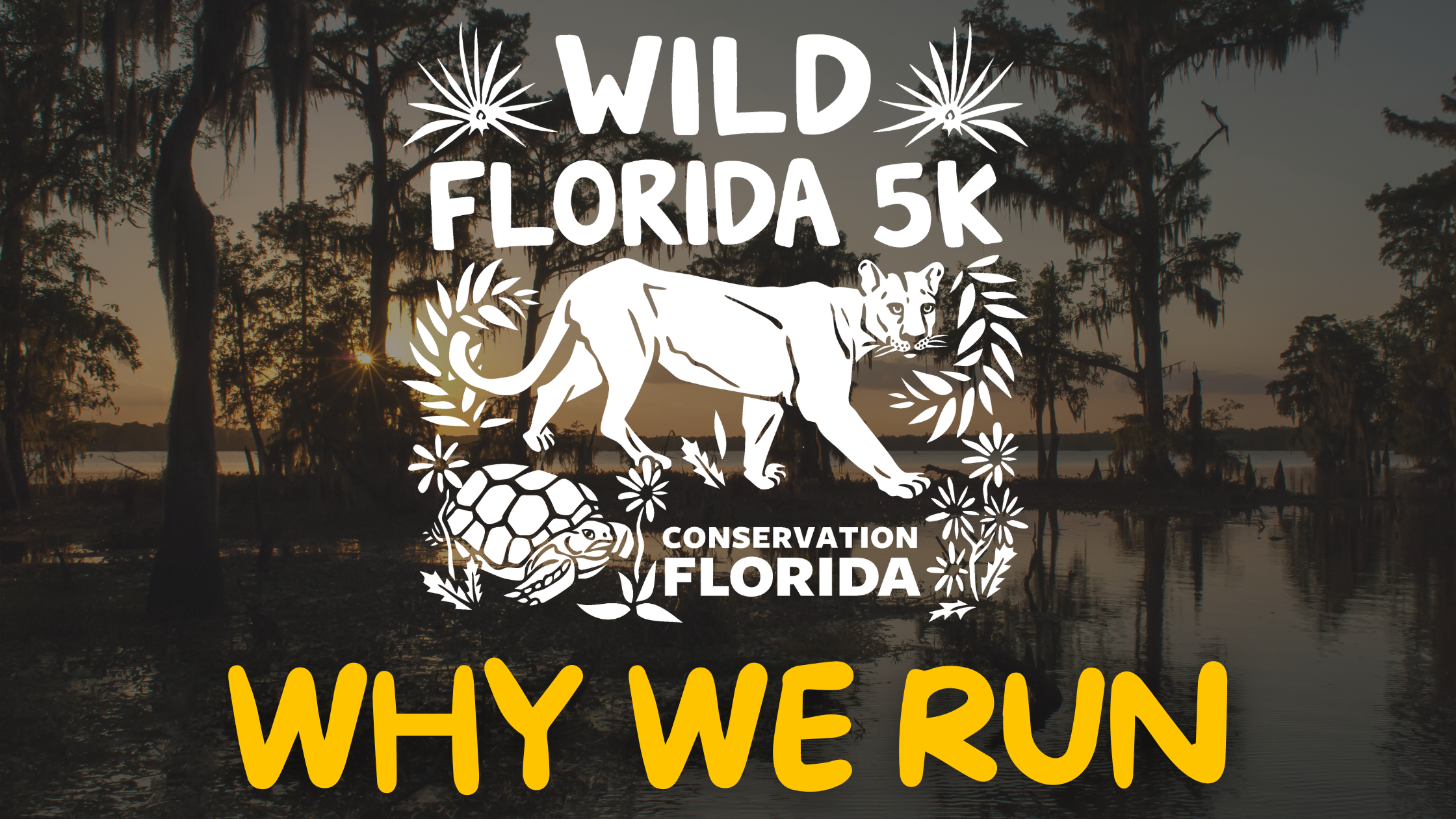 The Wild Florida 5K – Why We Run