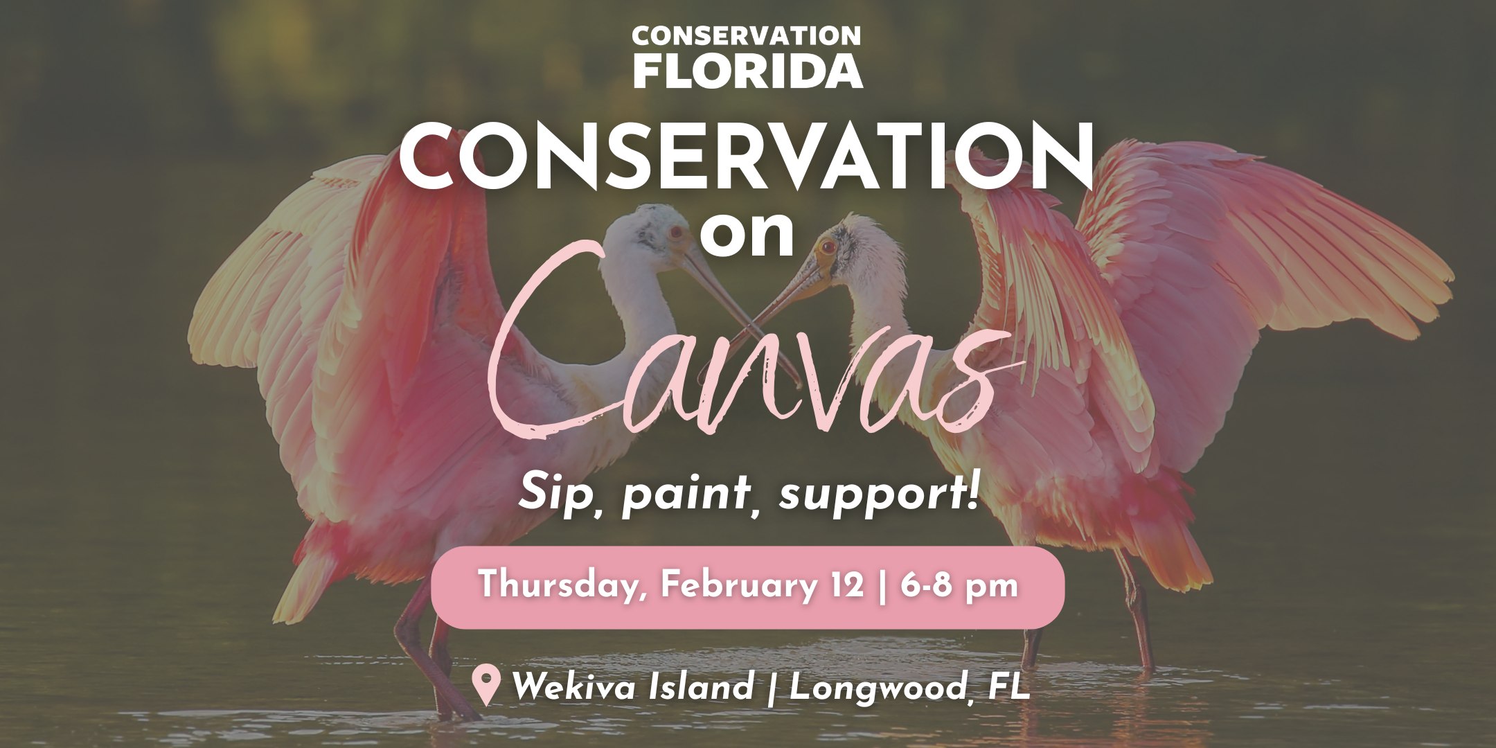 Conservation on Canvas: Fall in Love with Florida