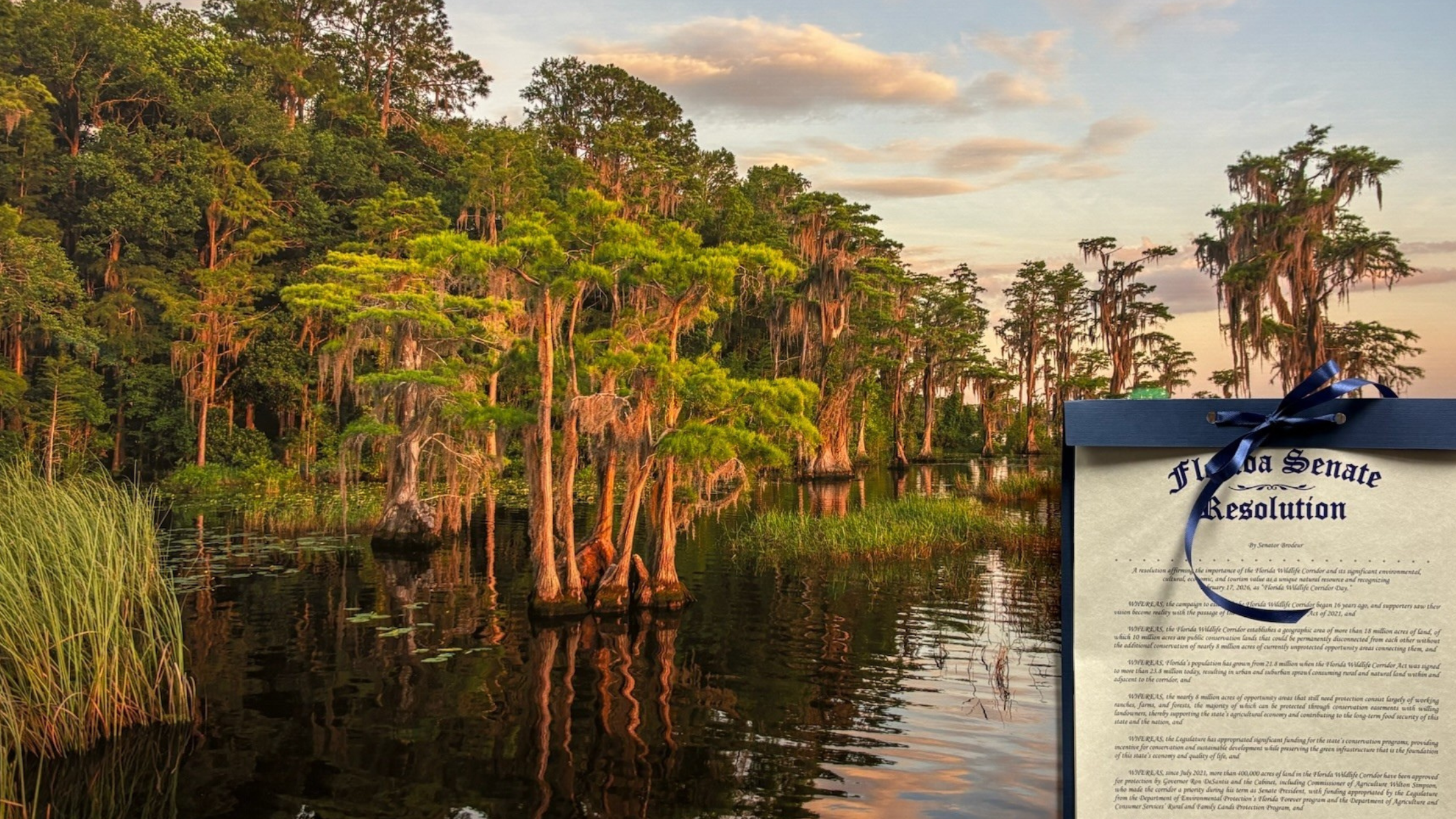 Conservation Florida Co-Hosts Fifth Annual Capitol Celebration of Florida Wildlife Corridor