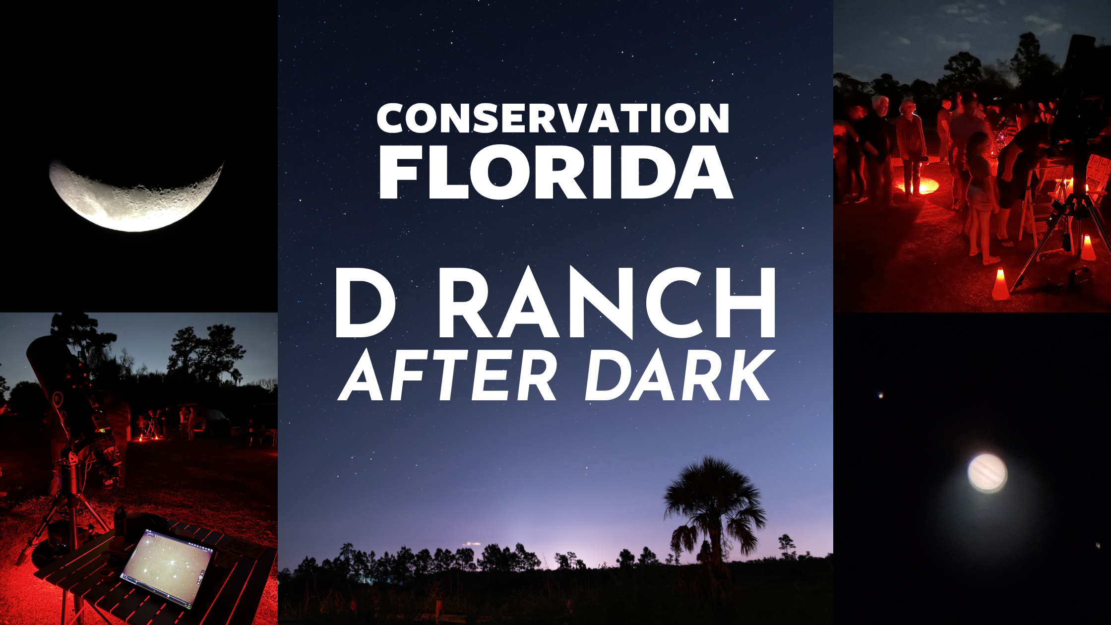 Star Party: D Ranch After Dark