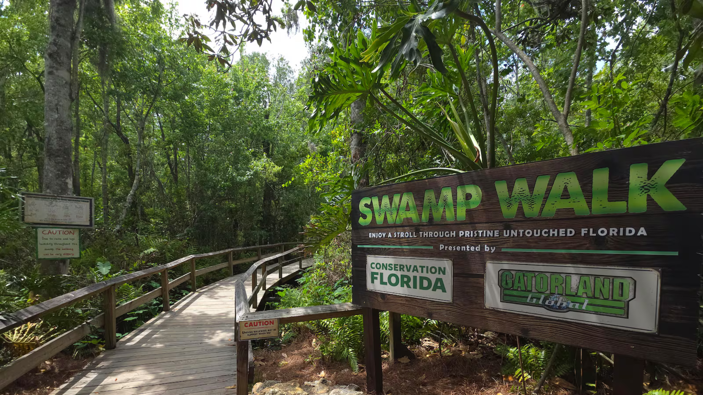 A Walk Through Wild Florida: Gatorland and Conservation Florida Unite for Earth Month