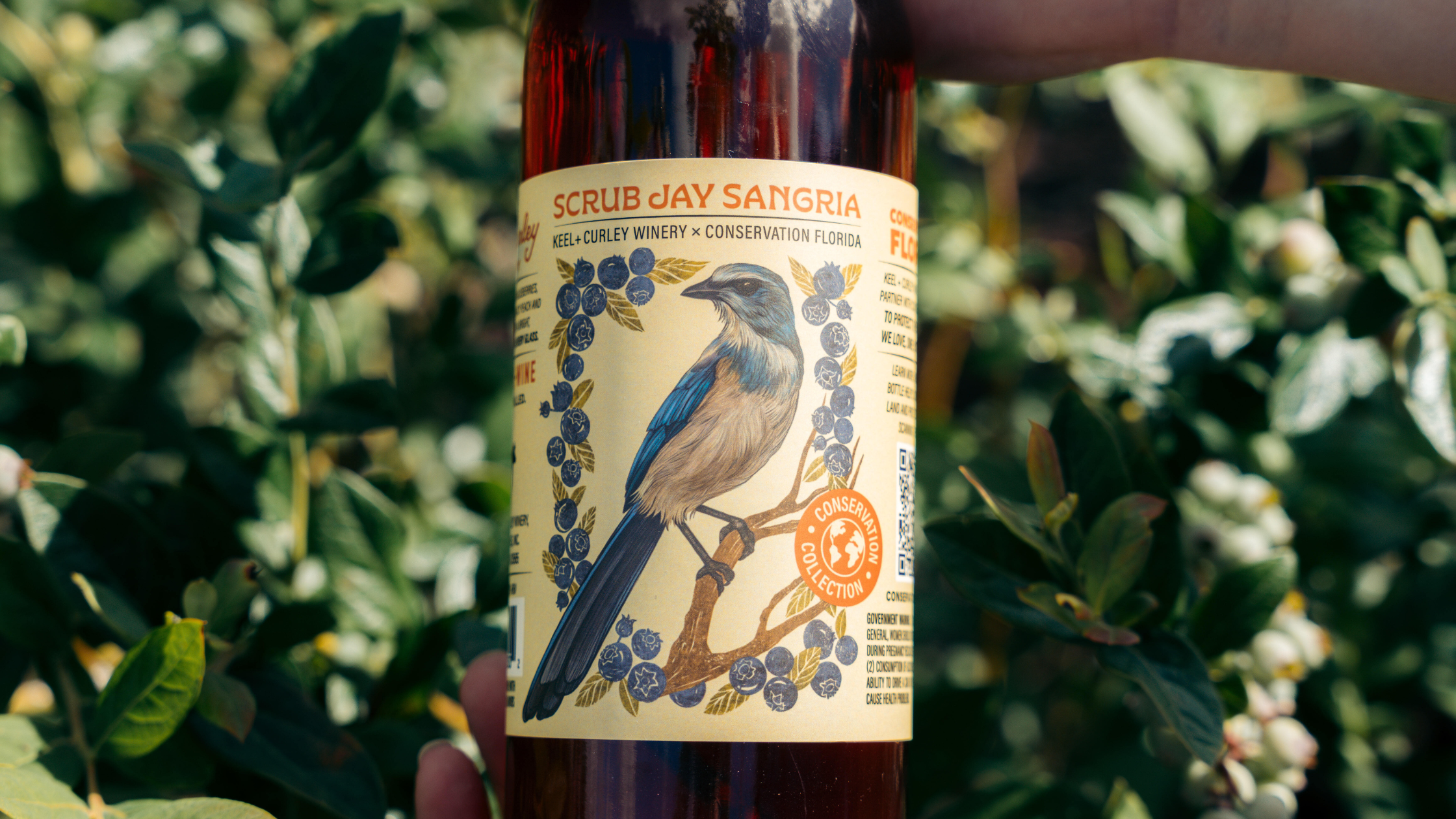 Sip Sangria &amp; Save Land: Conservation Florida Partners with Keel Farms for “Conservation Collection”