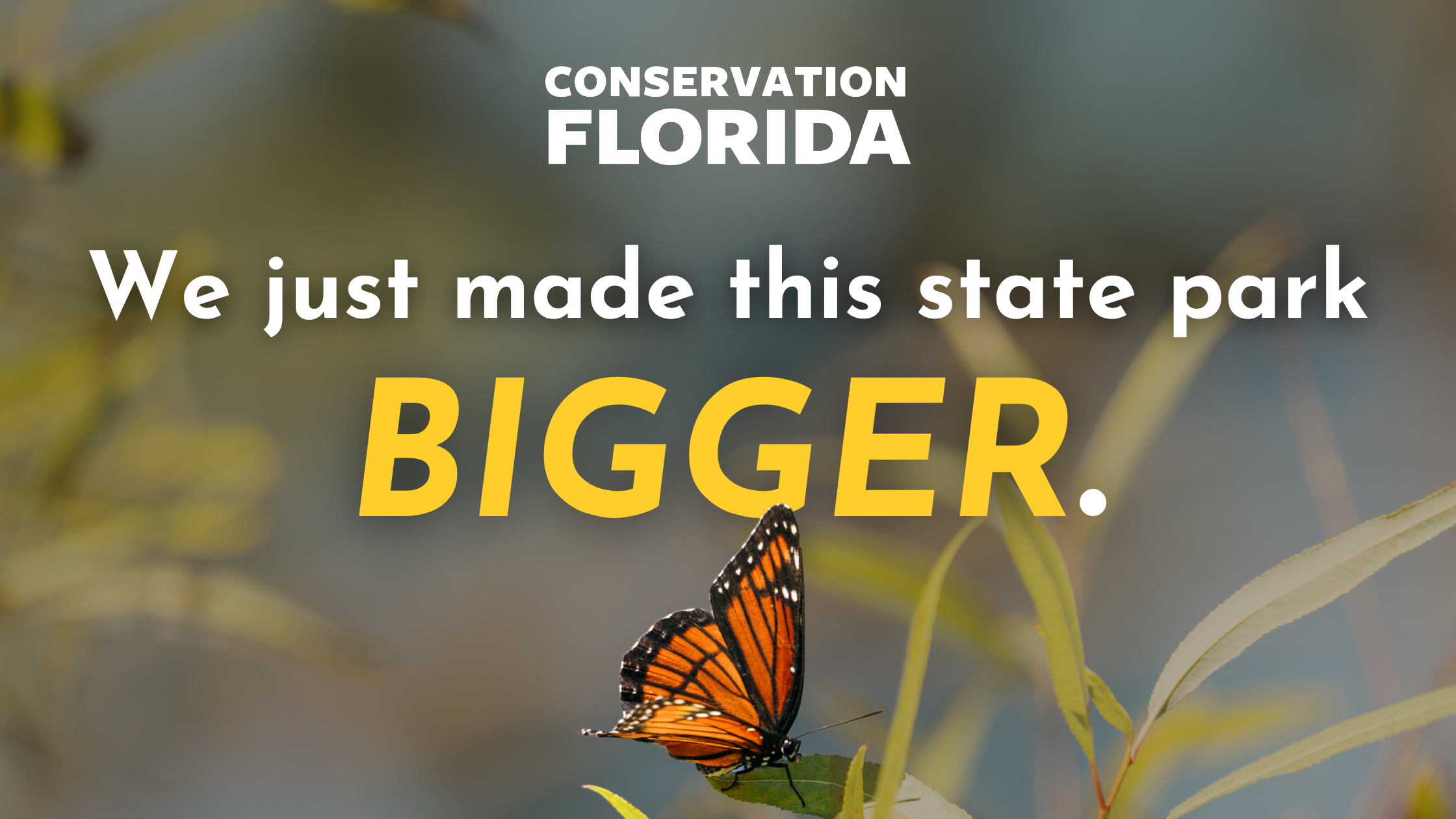 Conservation Florida and the Florida Department of Environmental Protection Expand Price’s Scrub State Park to 1,000+ Acres