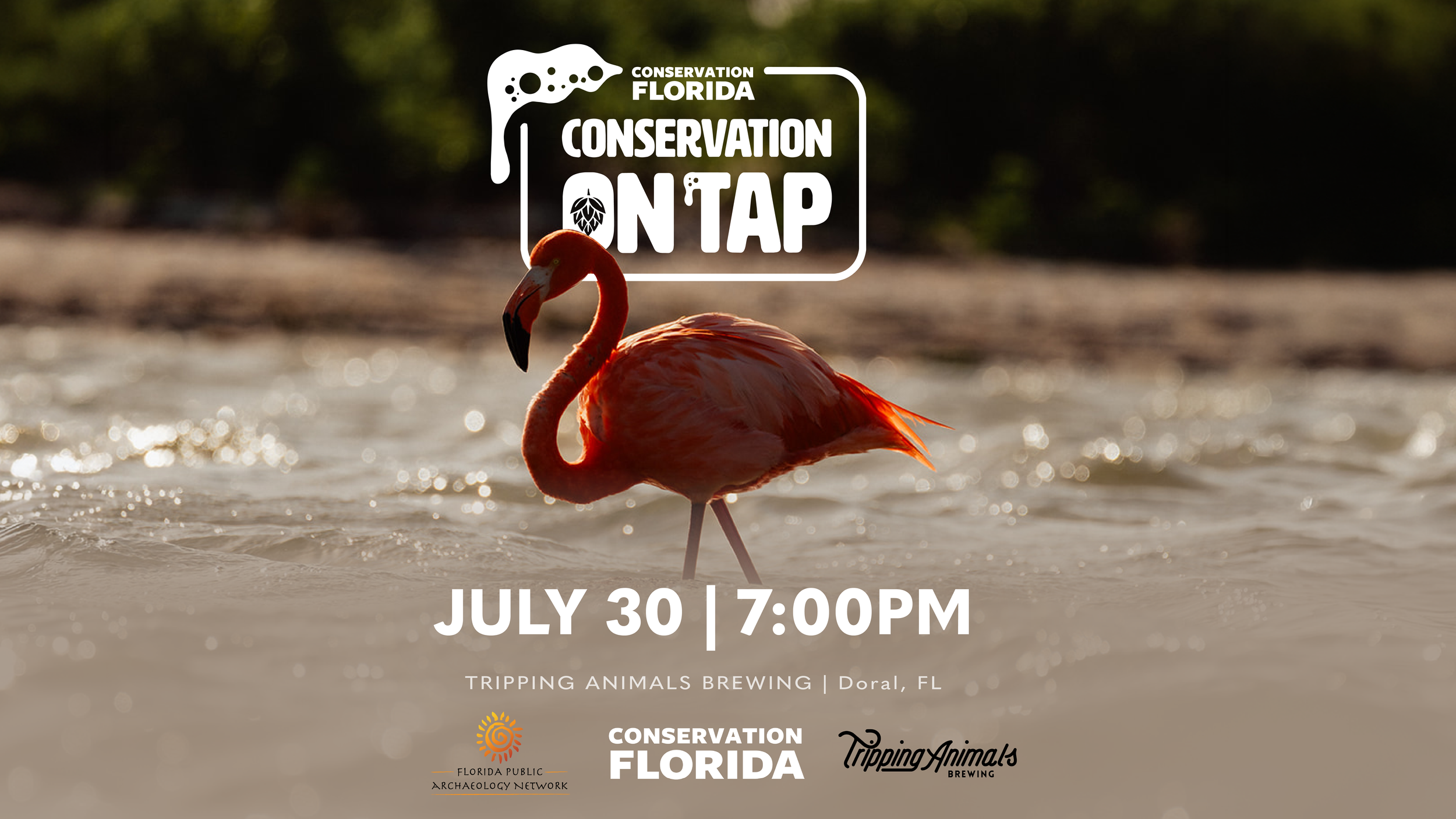 Conservation on Tap: Florida's Past, Present, and Path Forward