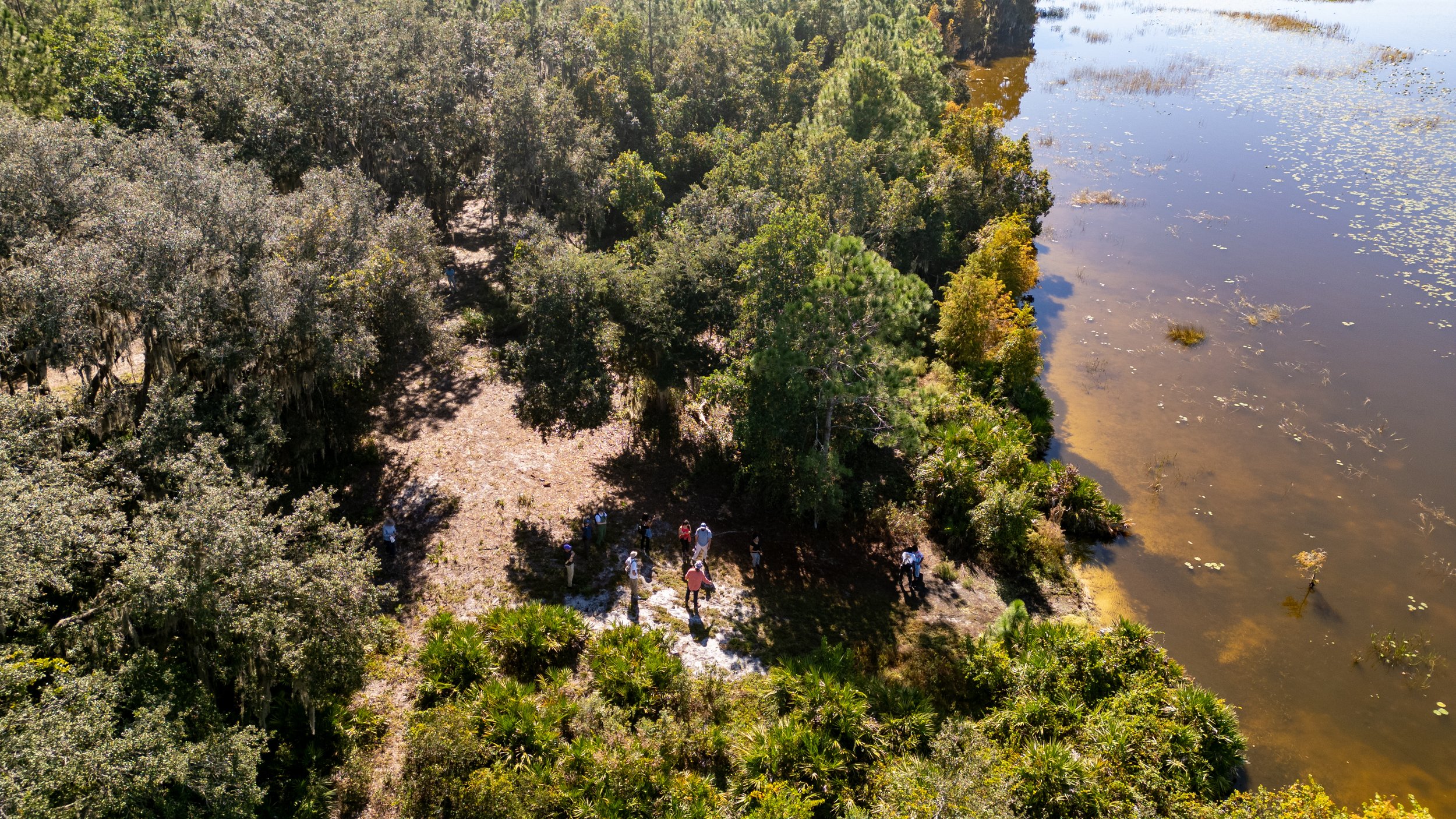 DJI_0818.jpg