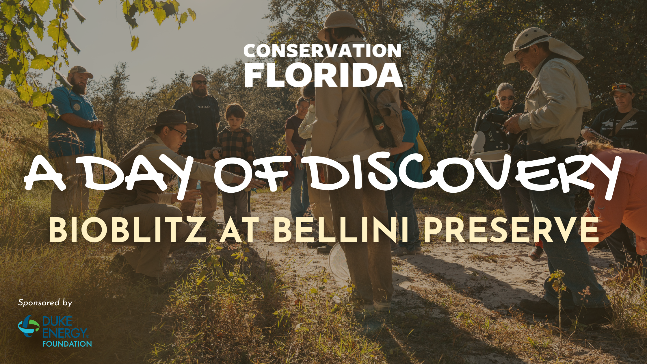 A Day of Discovery: Bioblitz at Bellini Preserve