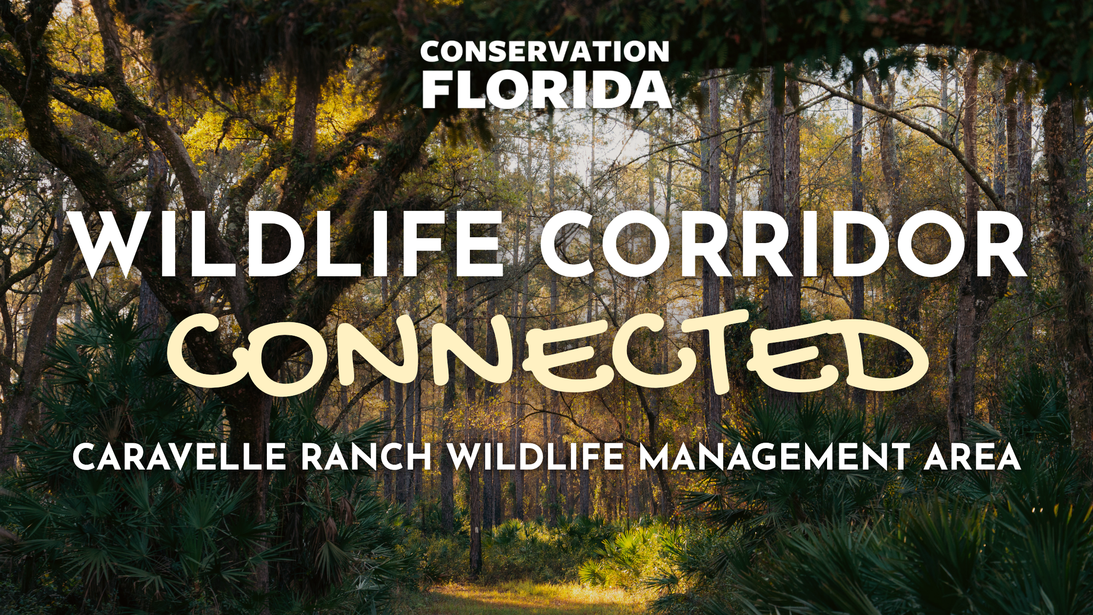 Conservation Florida and Florida Department of Environmental Protection Safeguard Wildlife Corridor in Putnam County