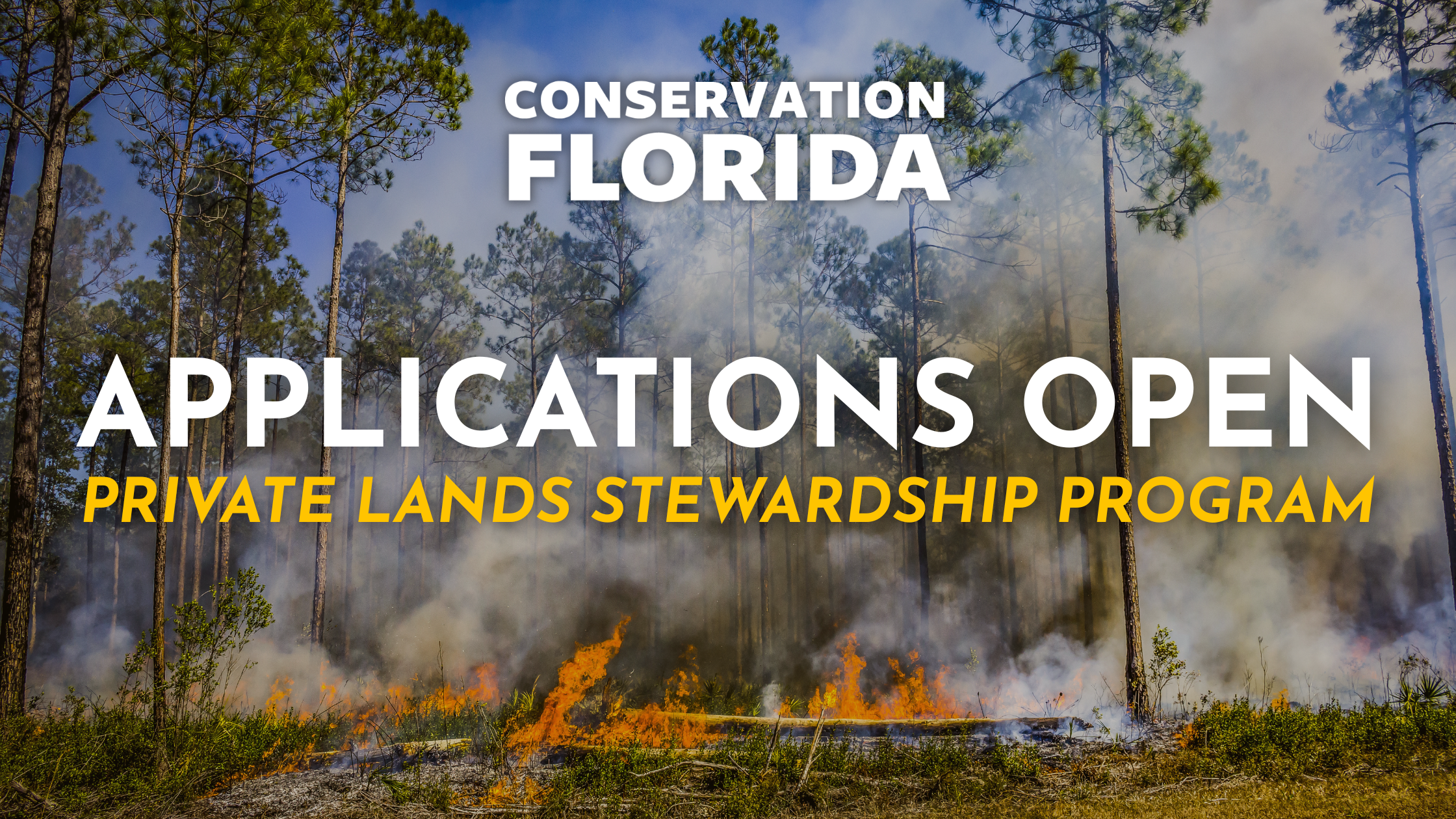 Conservation Florida Opens Applications for Landowner Assistance Program