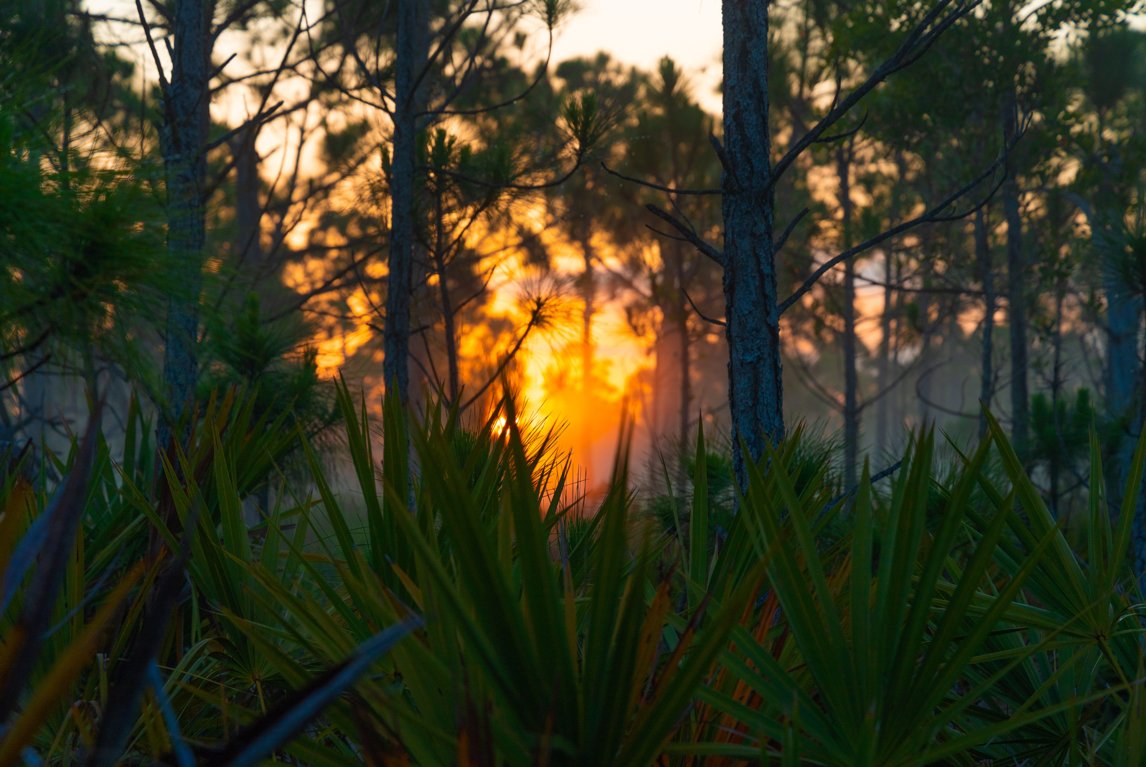 A Glimpse Into the Effortless Natural Beauty of Charlotte County