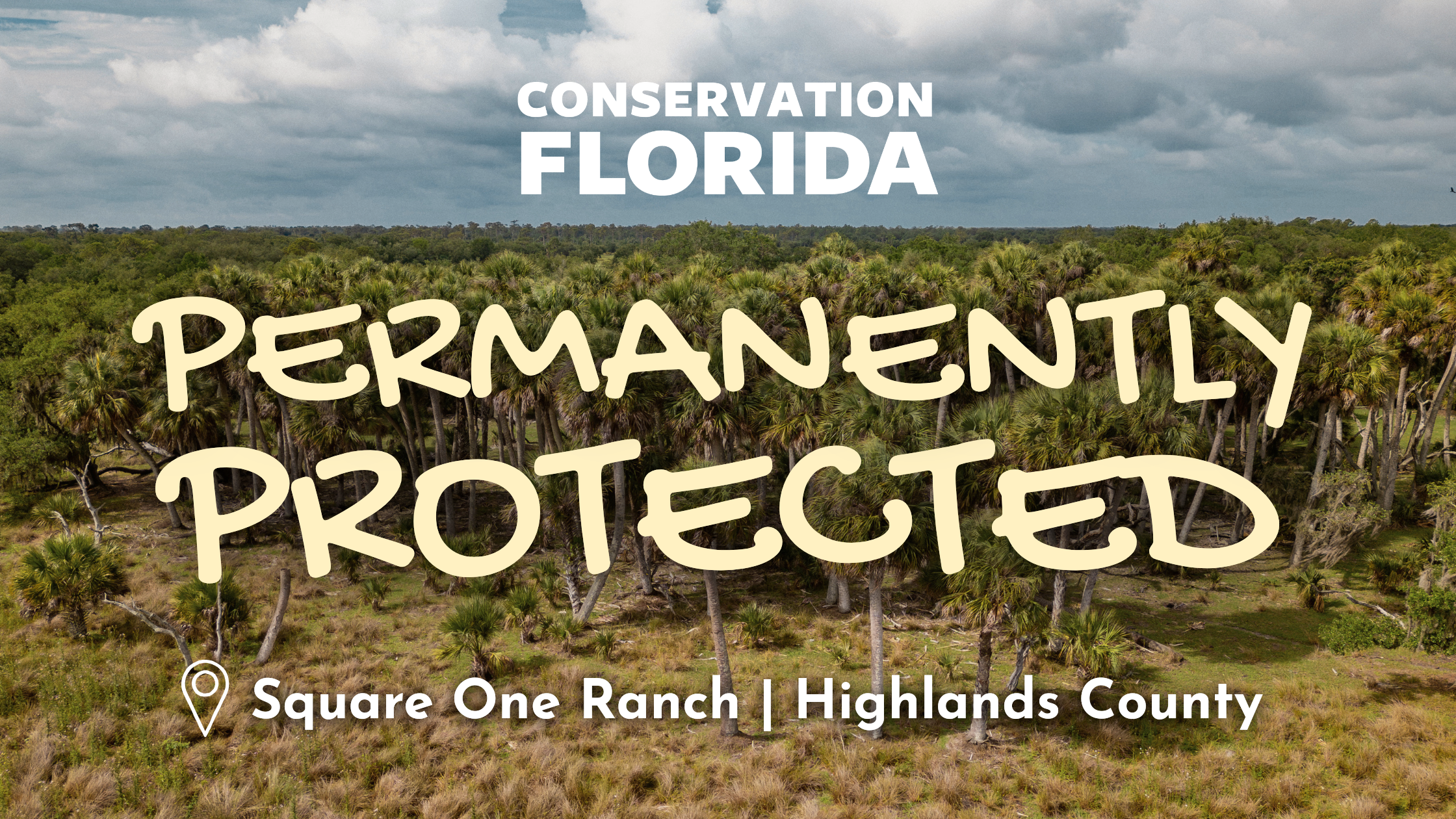 Partnership Permanently Protects 1,500-Acre Working Cattle Ranch in Highlands County
