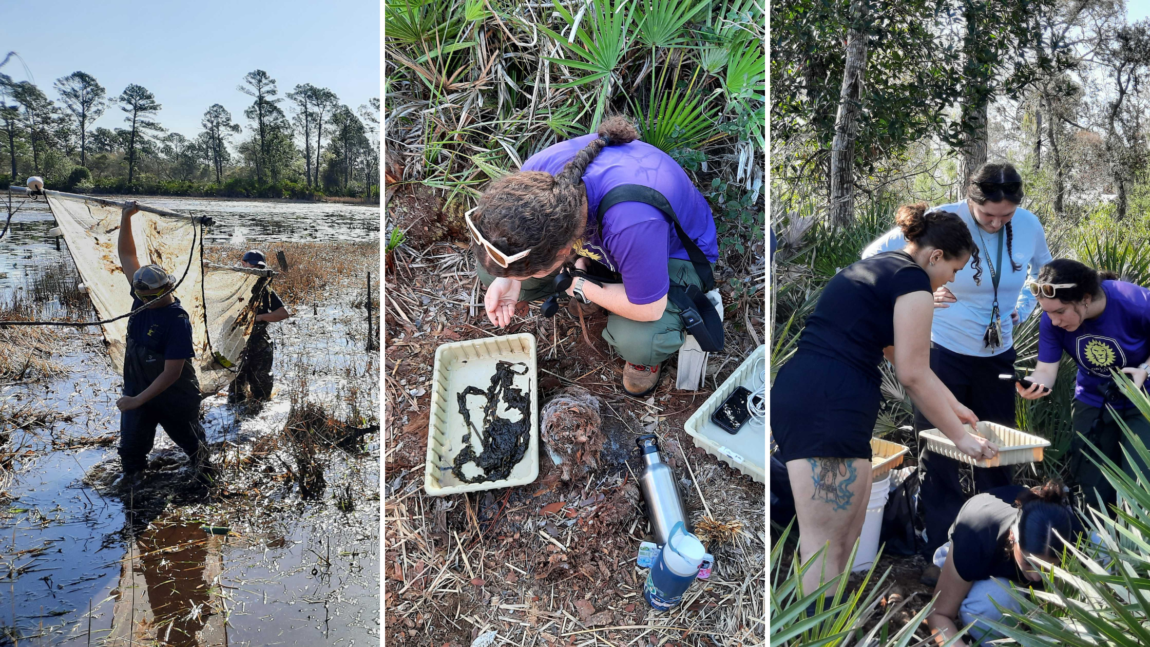 Stetson University Students Make Discovery at D Ranch Preserve