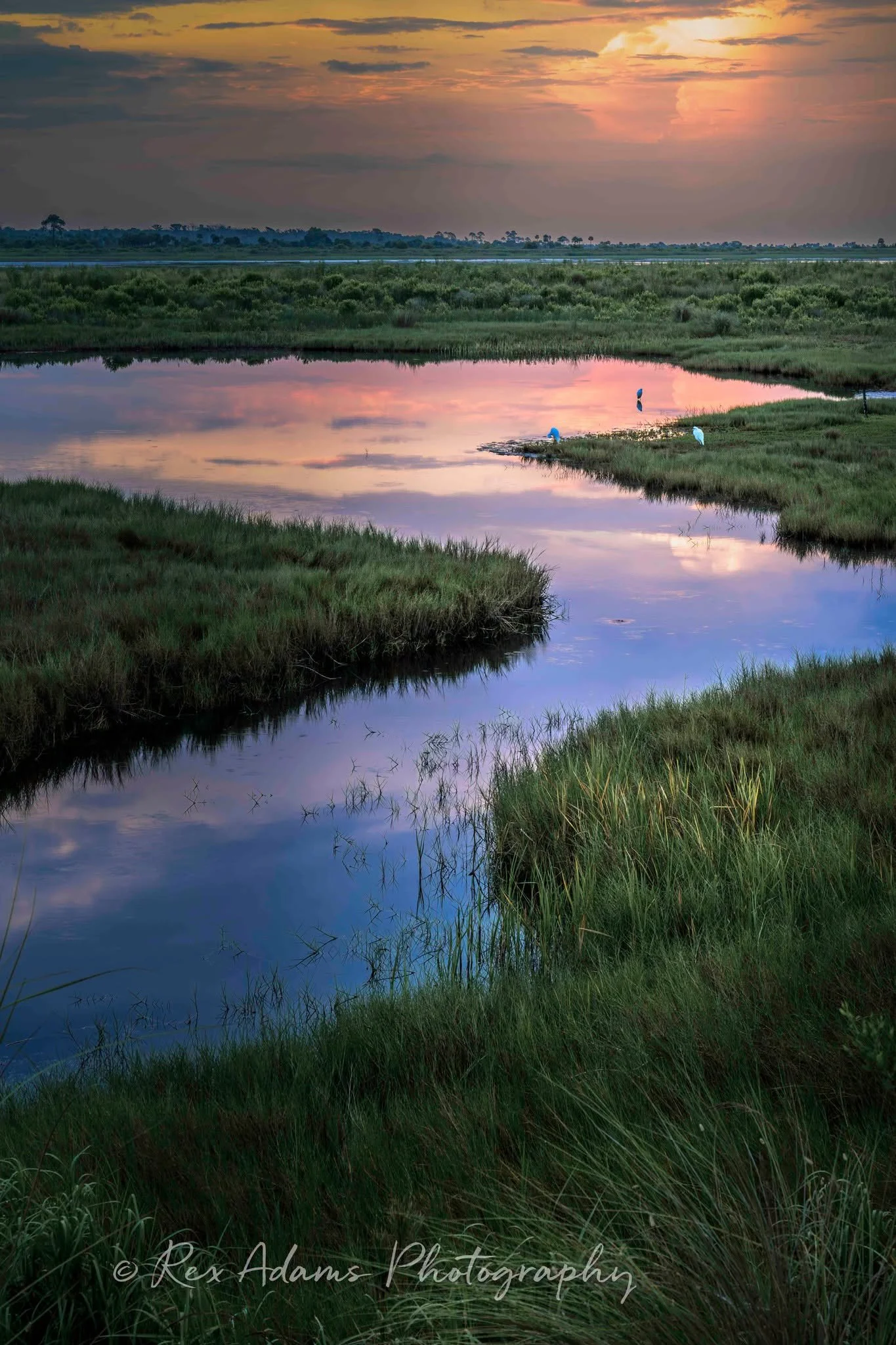 Where your email finds us today? ☀️

Under watercolor skies reflected in shimmering waters. In the ripples as your paddles pass through the stillness and gators glide silently by.

This is what we&rsquo;re working to protect every single day. And tod