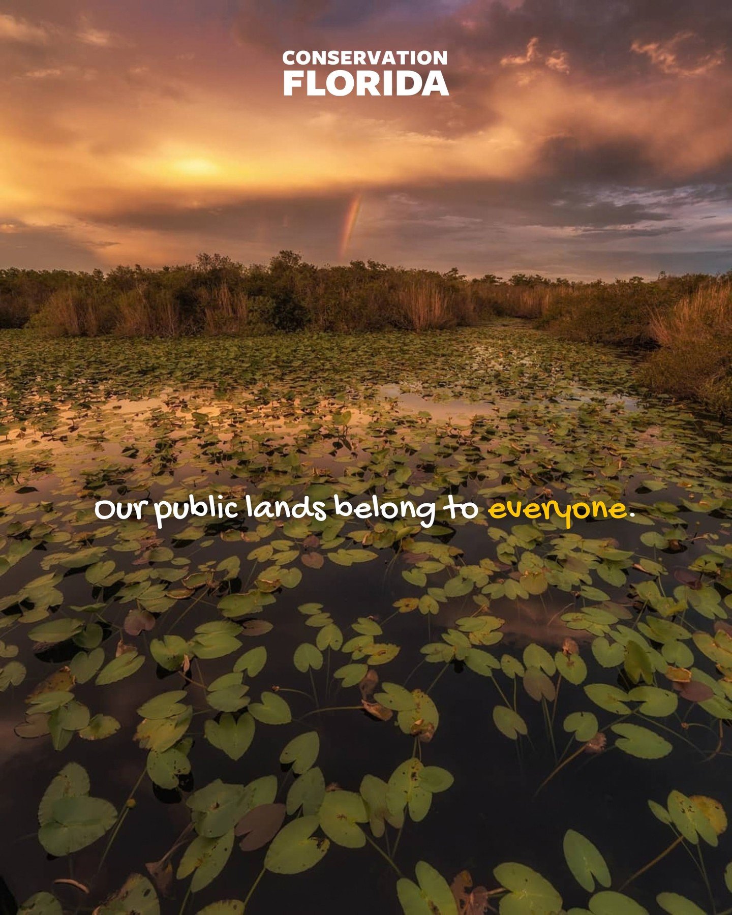 Our public lands connect us. To our history, to our native wildlife we share them with, and to each other.

𝗕𝘂𝘁 𝘁𝗵𝗲𝘀𝗲 𝗽𝗹𝗮𝗰𝗲𝘀 𝗮𝗿𝗲𝗻'𝘁 𝗴𝘂𝗮𝗿𝗮𝗻𝘁𝗲𝗲𝗱.

We're working alongside you every day to save them. Conservation Florida has