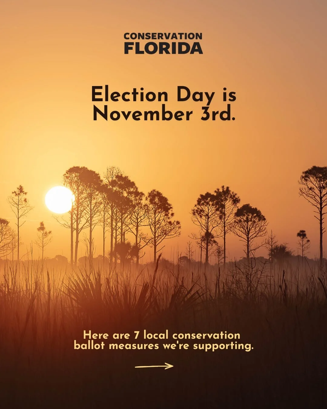 Florida, 𝗘𝗹𝗲𝗰𝘁𝗶𝗼𝗻 𝗗𝗮𝘆 𝗶𝘀 𝗧𝘂𝗲𝘀𝗱𝗮𝘆, 𝗡𝗼𝘃𝗲𝗺𝗯𝗲𝗿 𝟯, and across the Sunshine State you have the opportunity to help protect the places that make our state home. 🗳️☀️

For decades, we have used our polling power to protect the w
