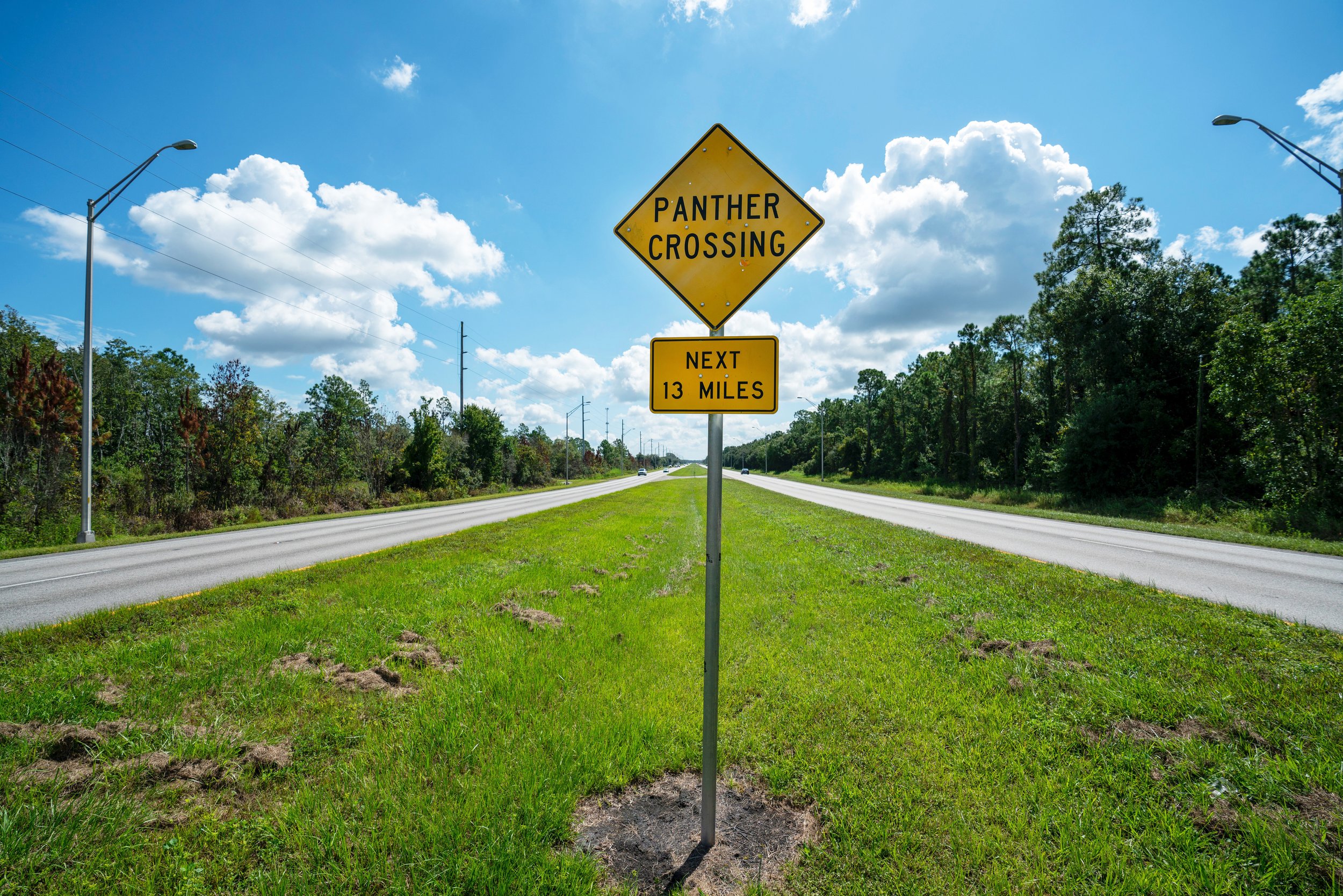 Critical Florida Panther Crossing Protected