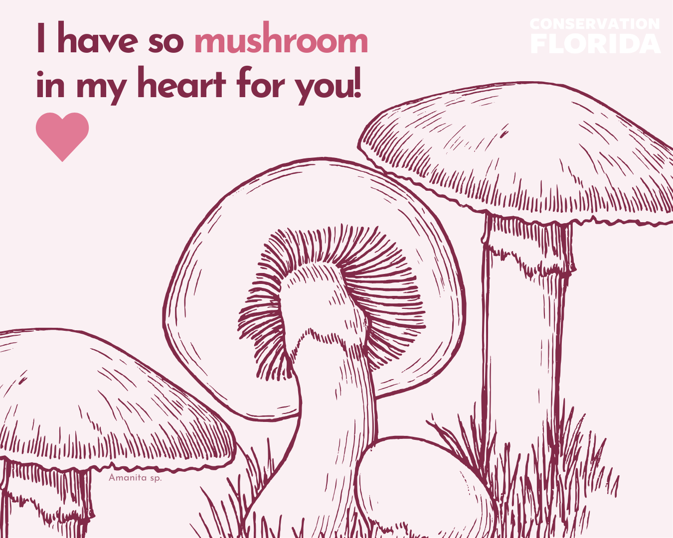 Valentines Day (22).png