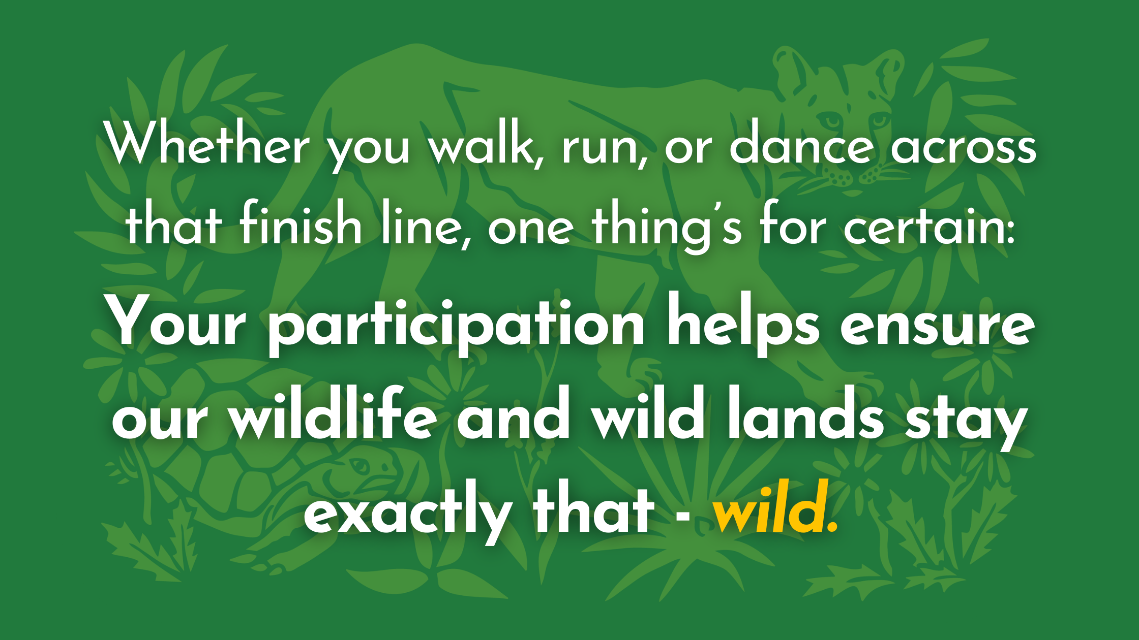 The Wild Florida 5K – Why We Run — Conservation Florida