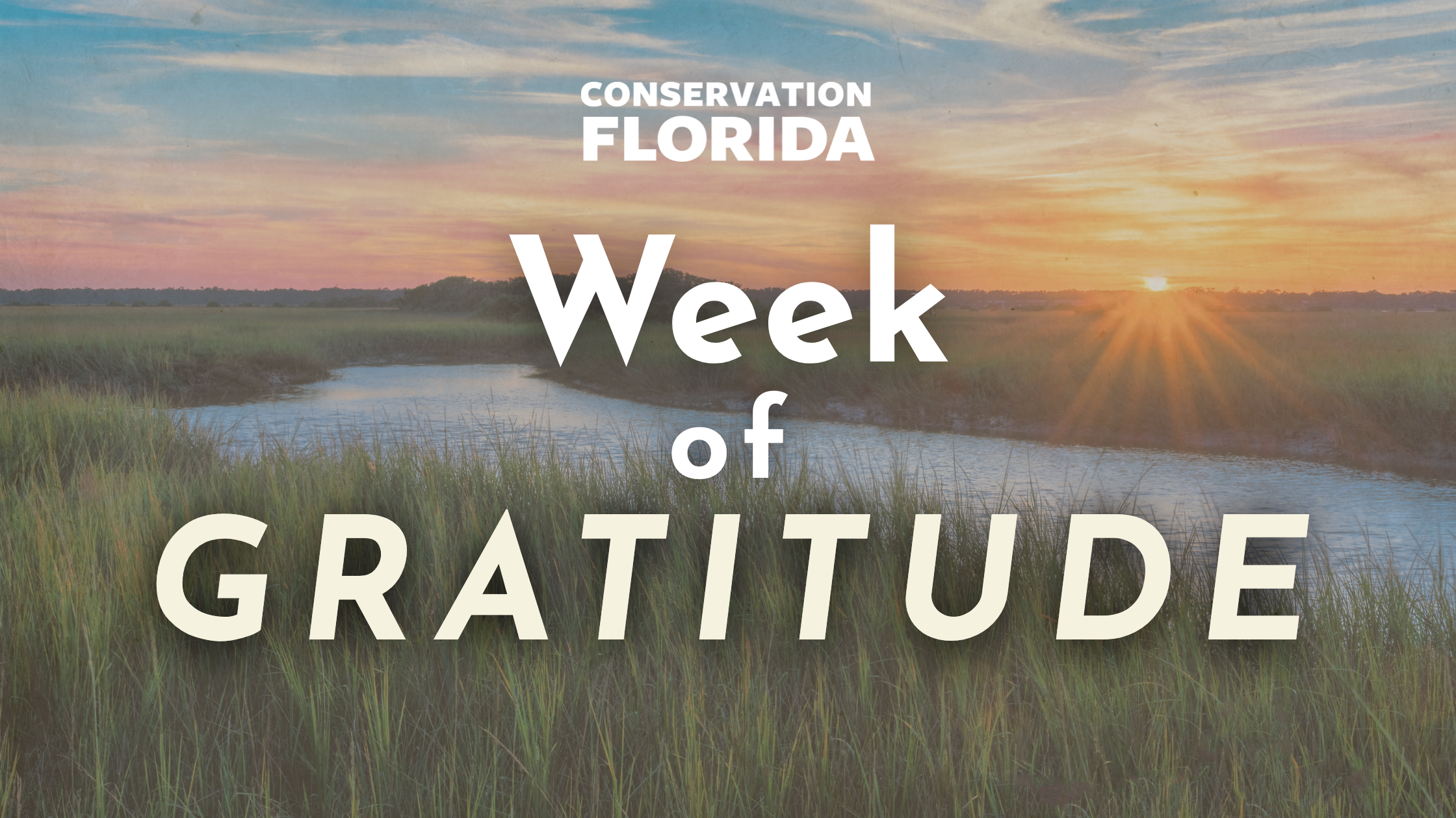 Week of Gratitude: Celebrating the People Who Help Protect Wild Florida ...