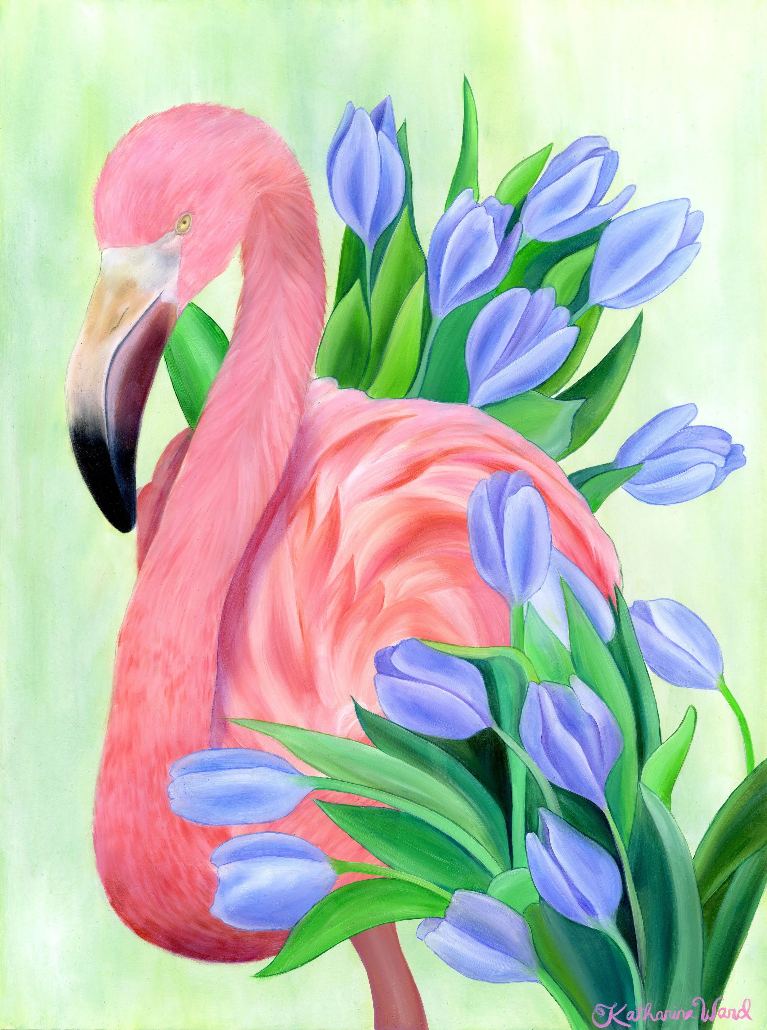 flamingotulip.jpg