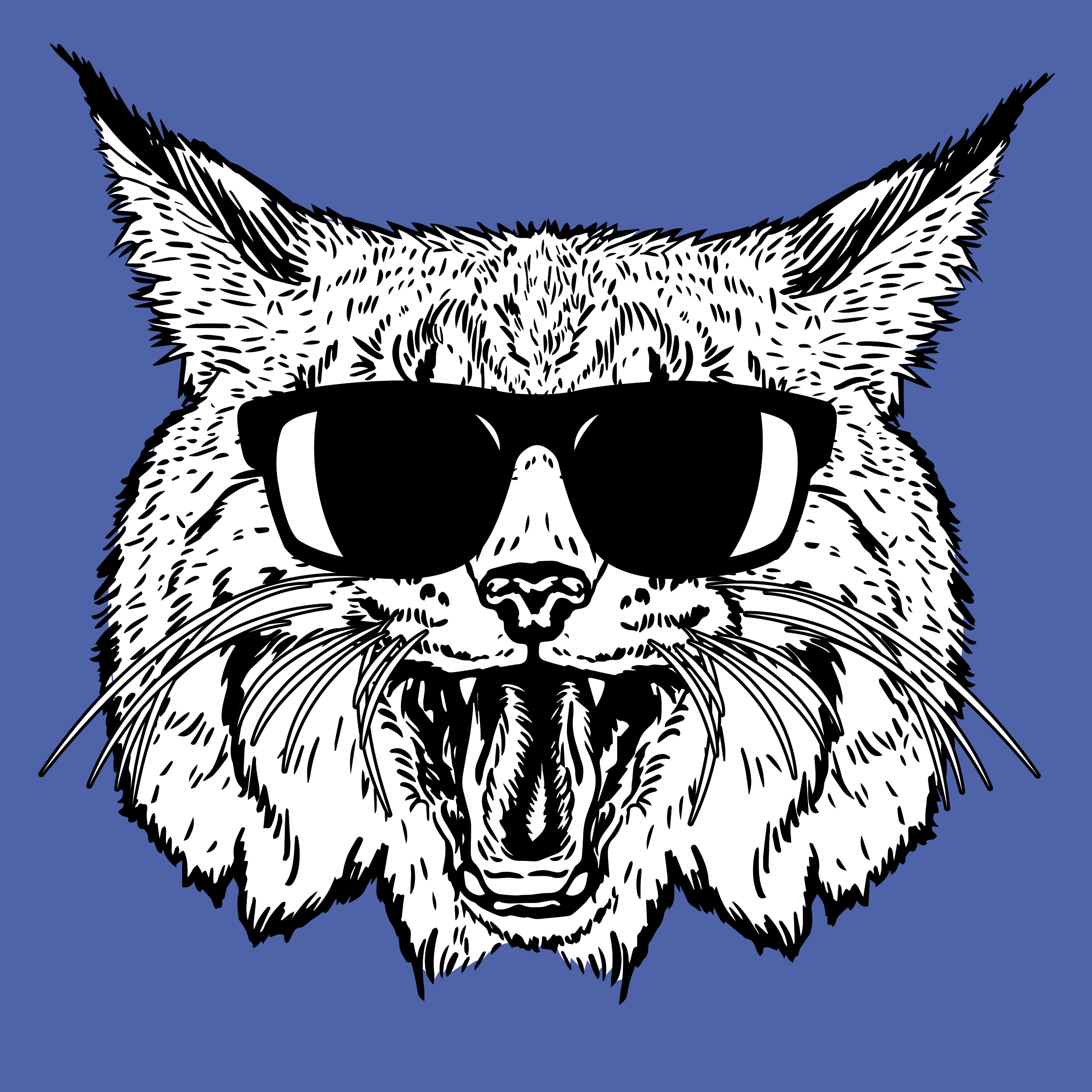 Kenton Elementary Portal — Skool Aid