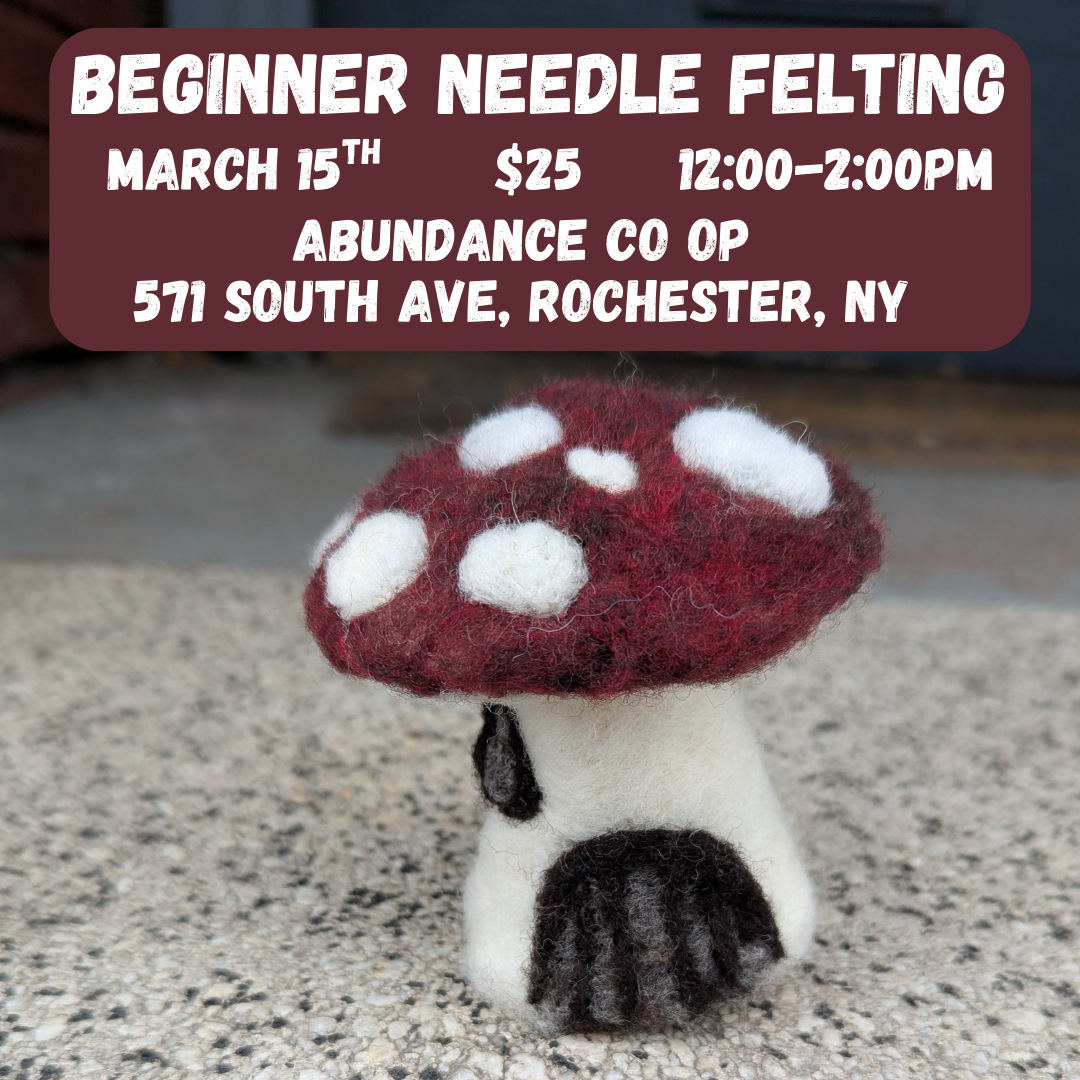 Beginner Needle Felting