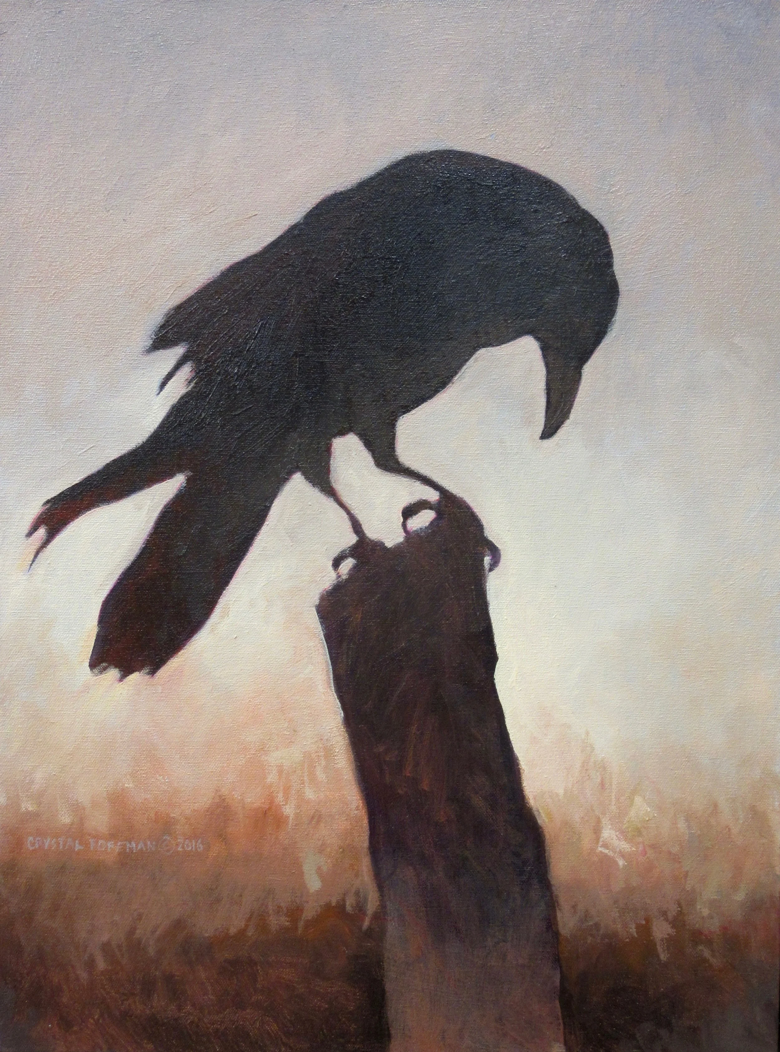 Raven III