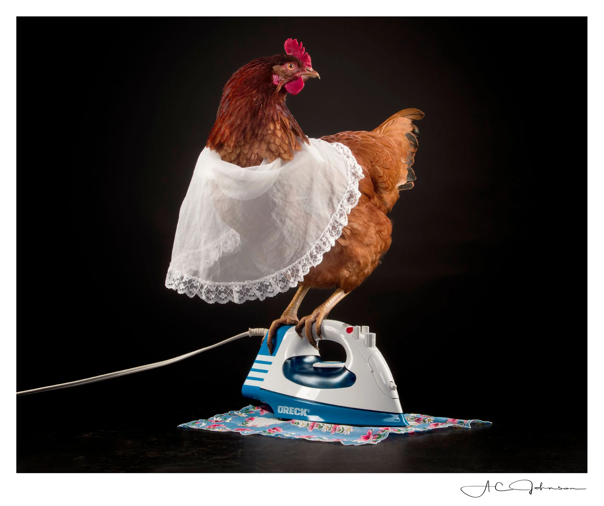 Chores, Chores, more Chores