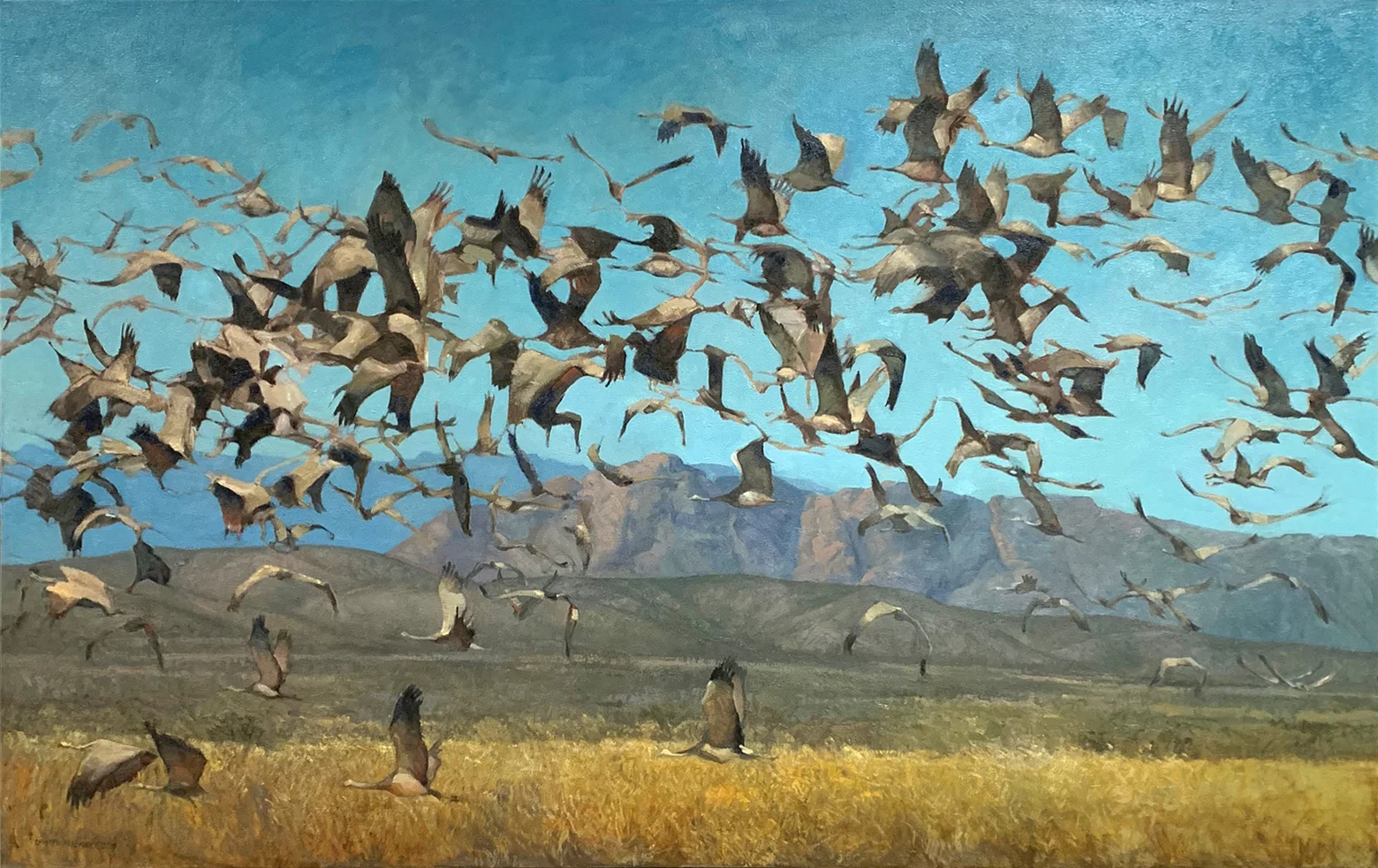 Consider the Birds of the Field