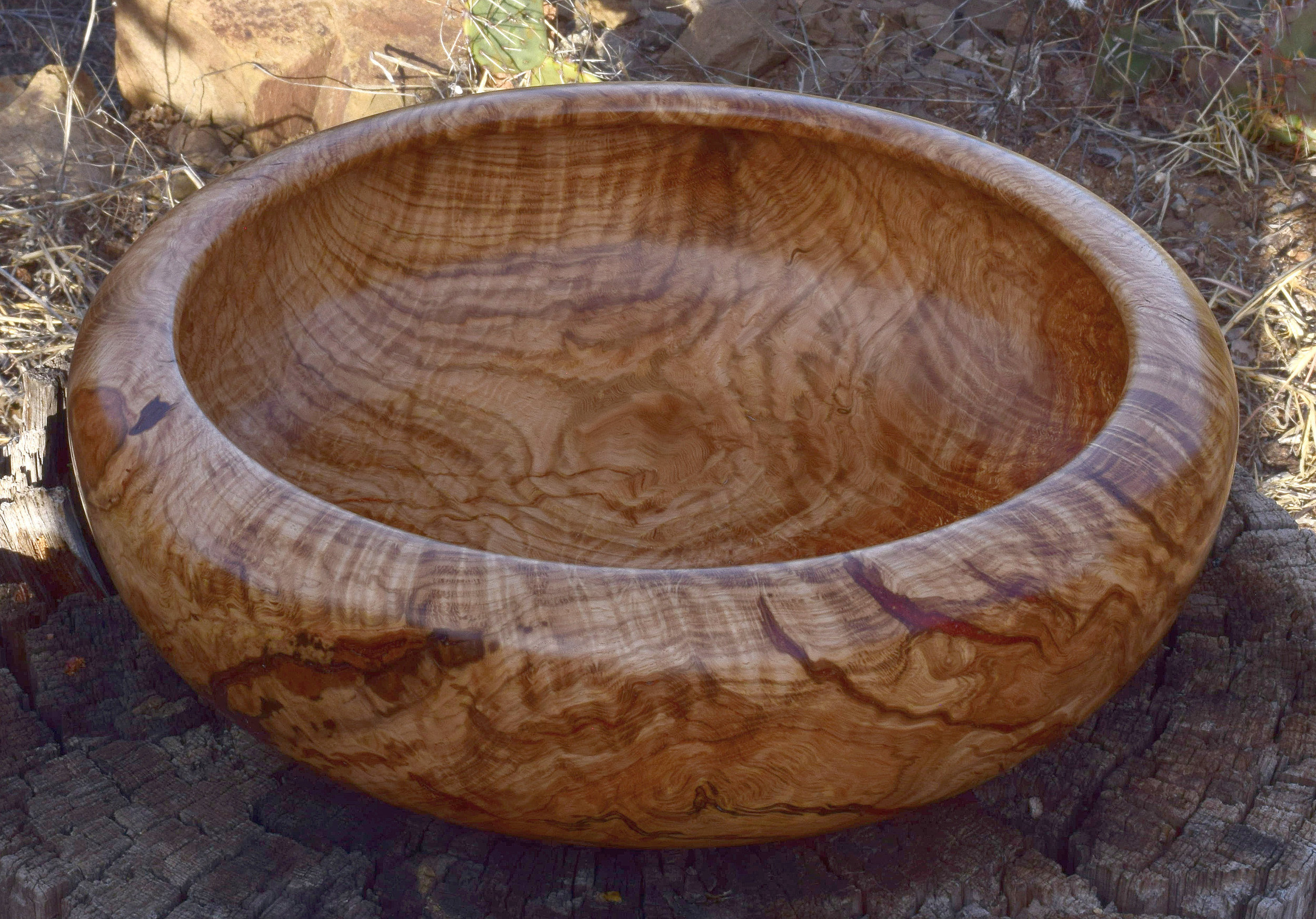 Dique Bowl, 1001