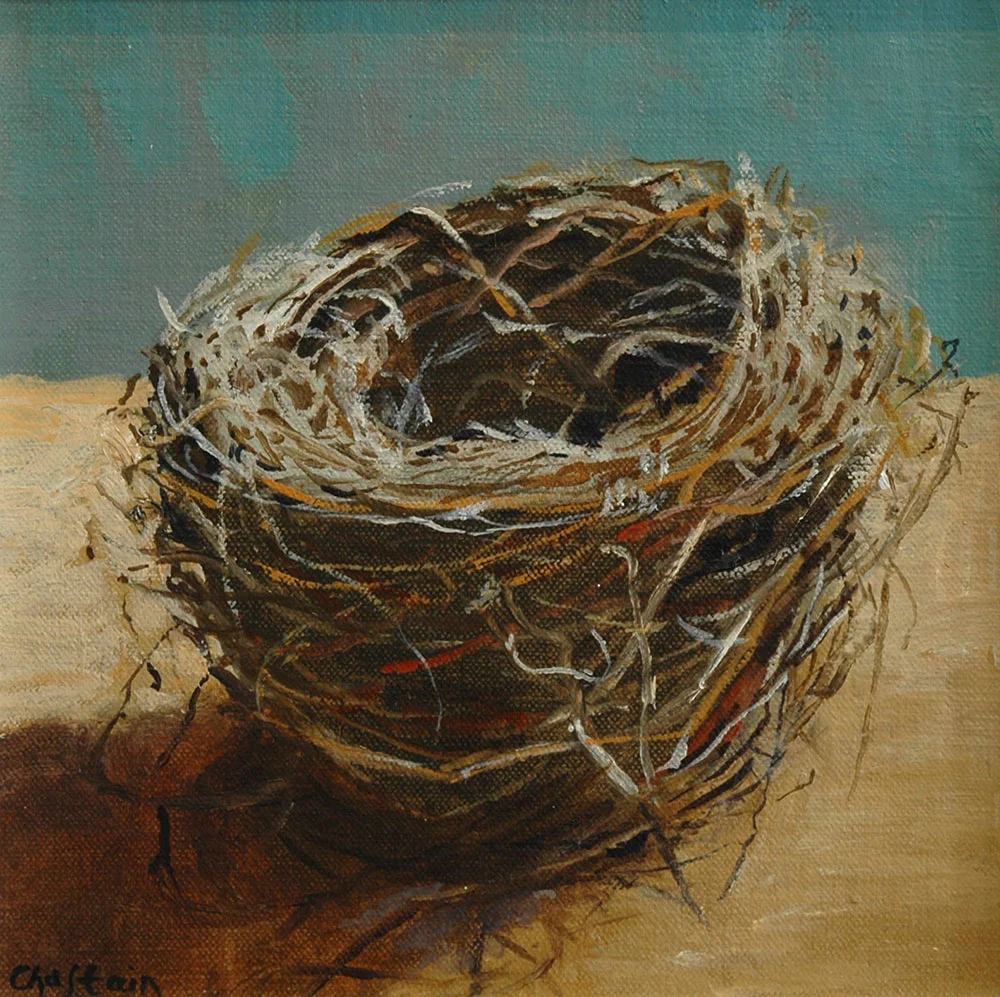 Cape Cod Nest