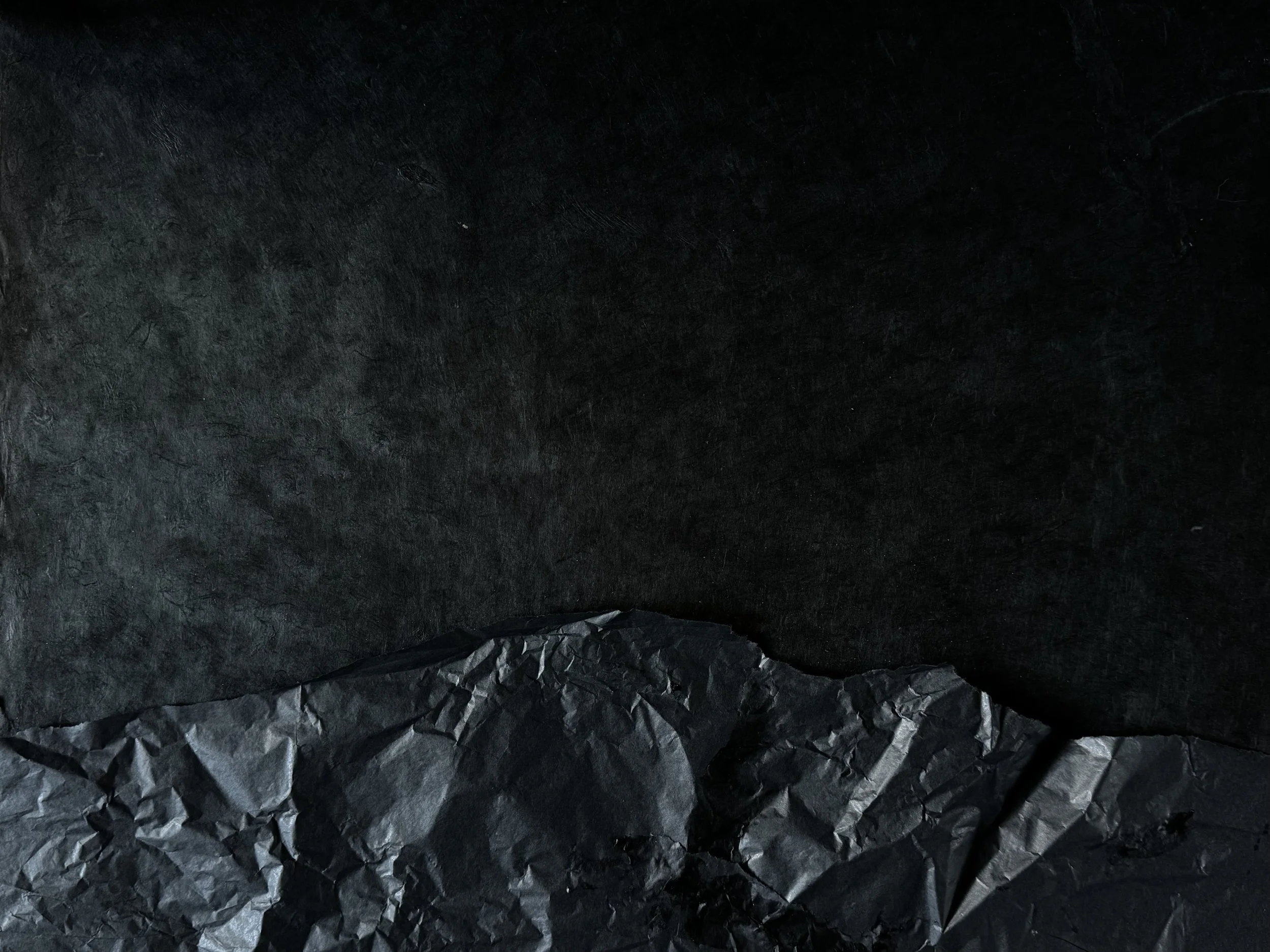 Alomas Fight BG.jpeg