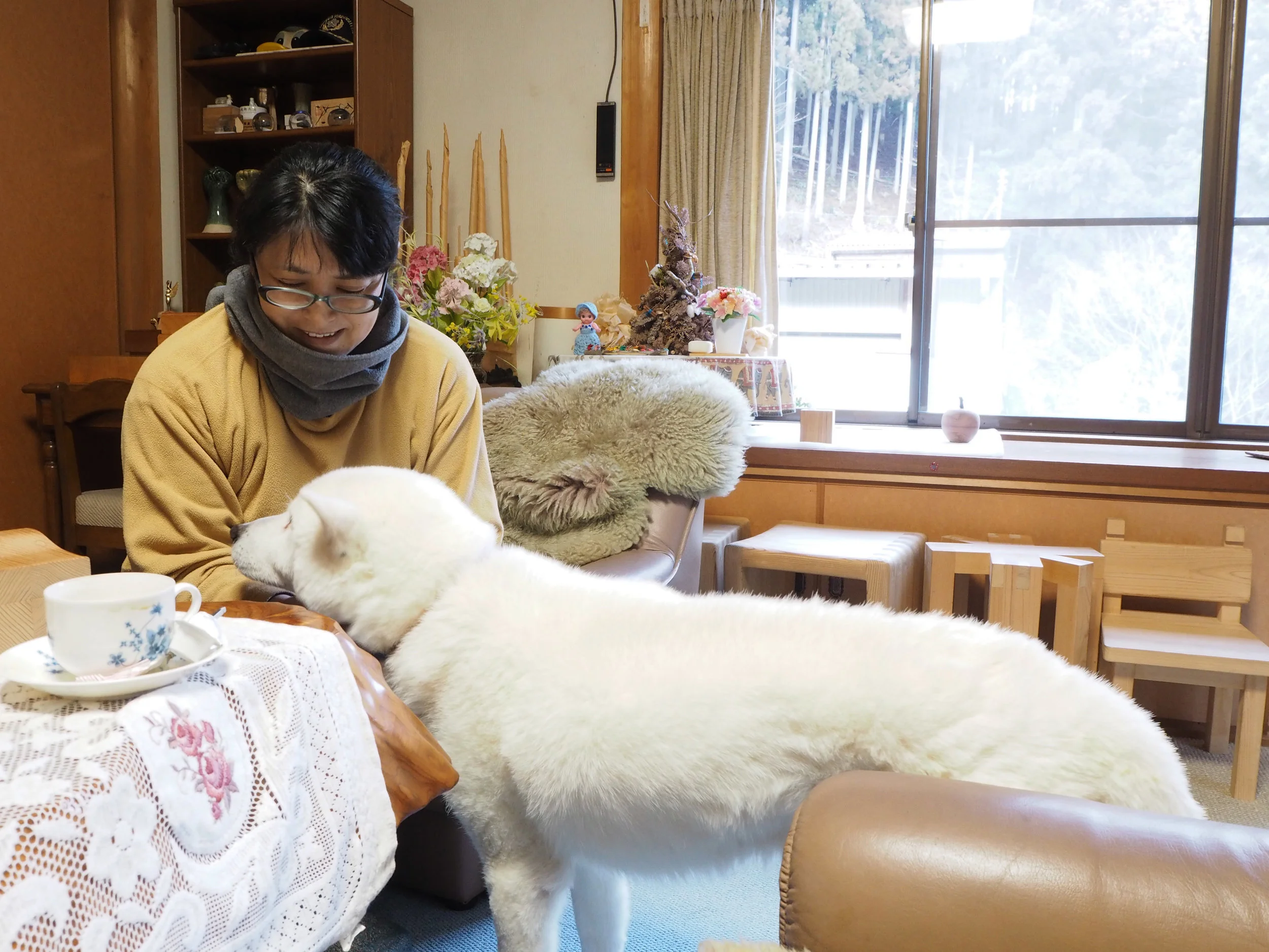 白い犬1.jpg