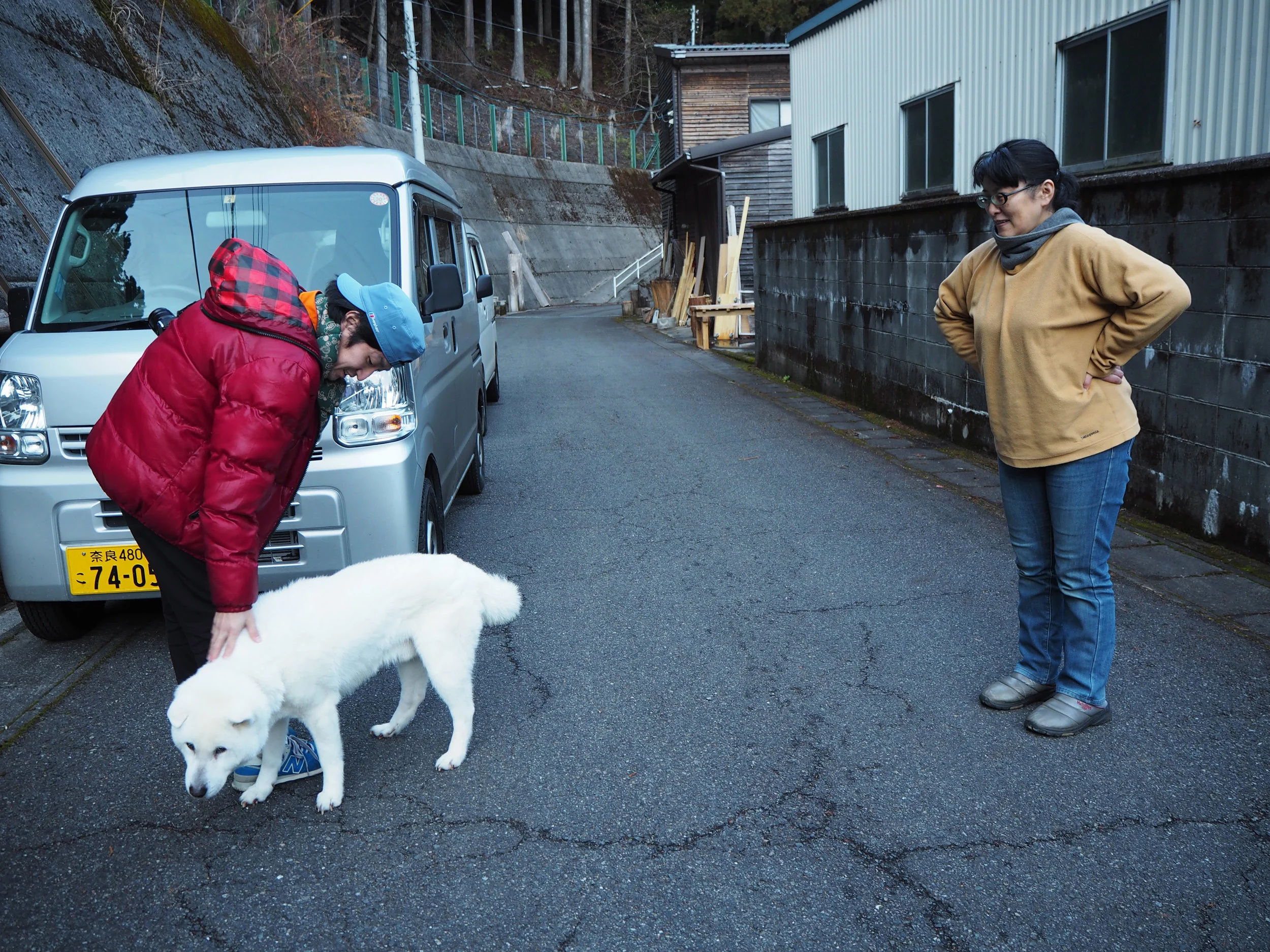 白い犬8.jpg