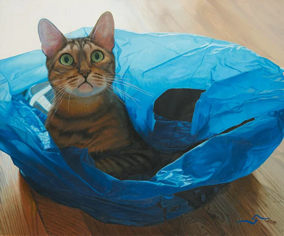 Cat in the Blue Bag, 10”x 12”