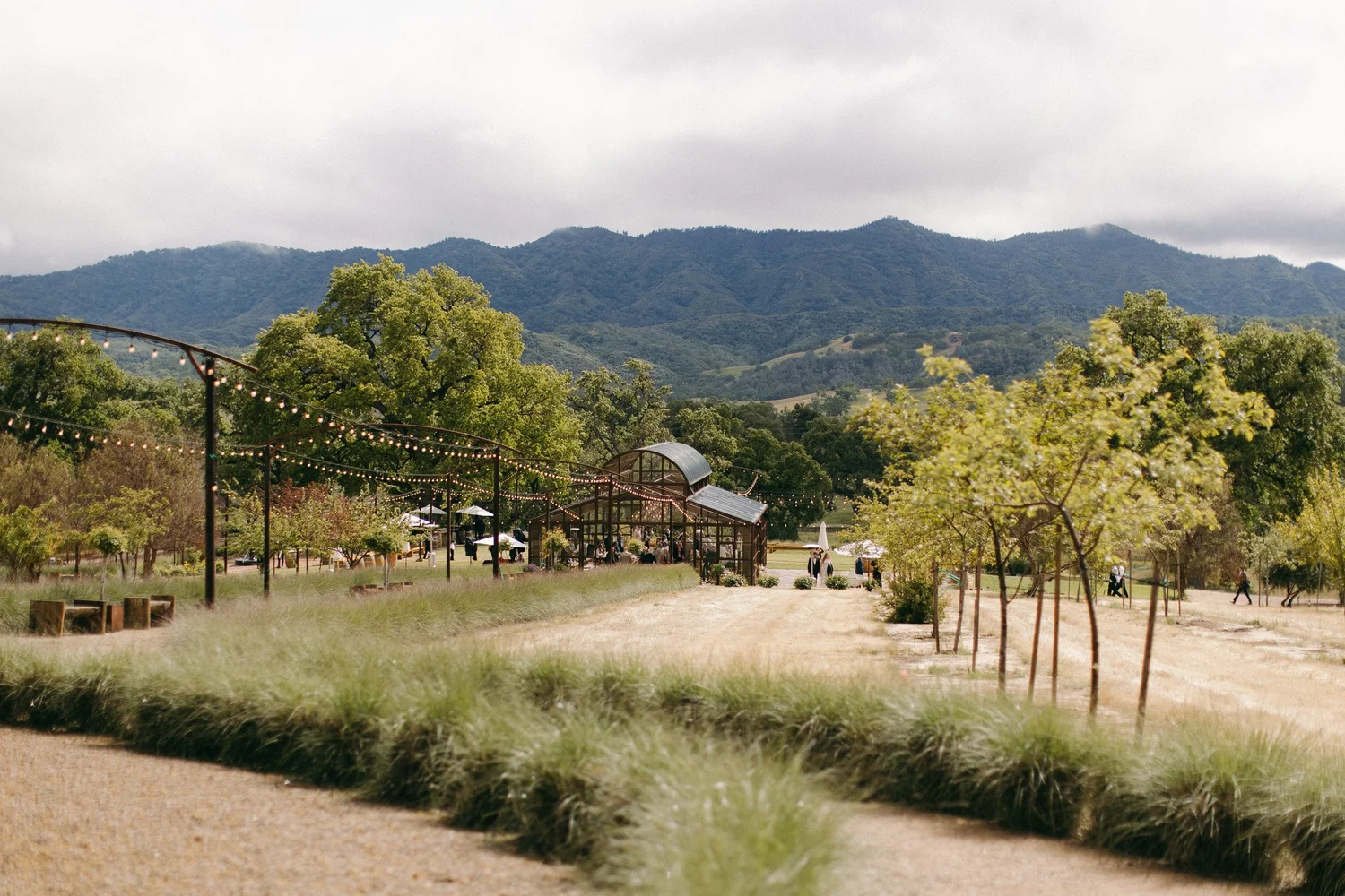 Mita Ranch Events & Retreats — Riata Ranch