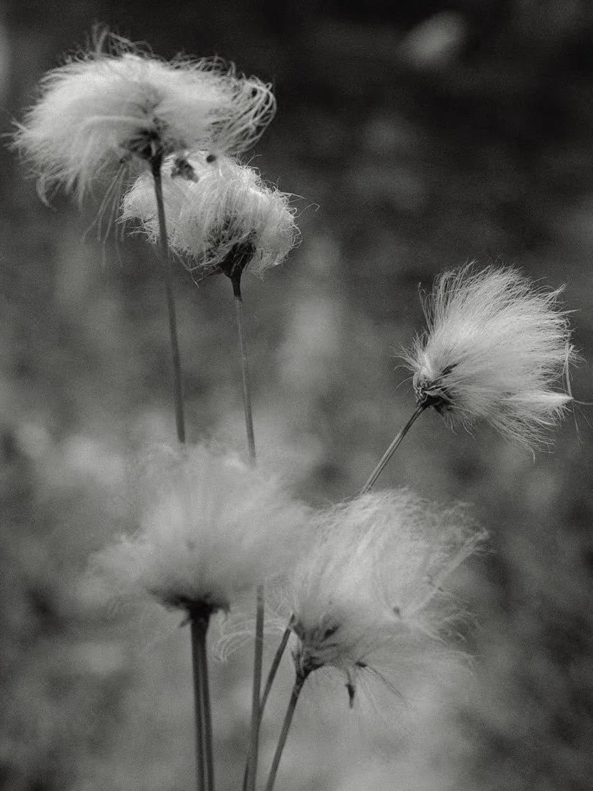 untitled-36-511-Edit copy.jpg