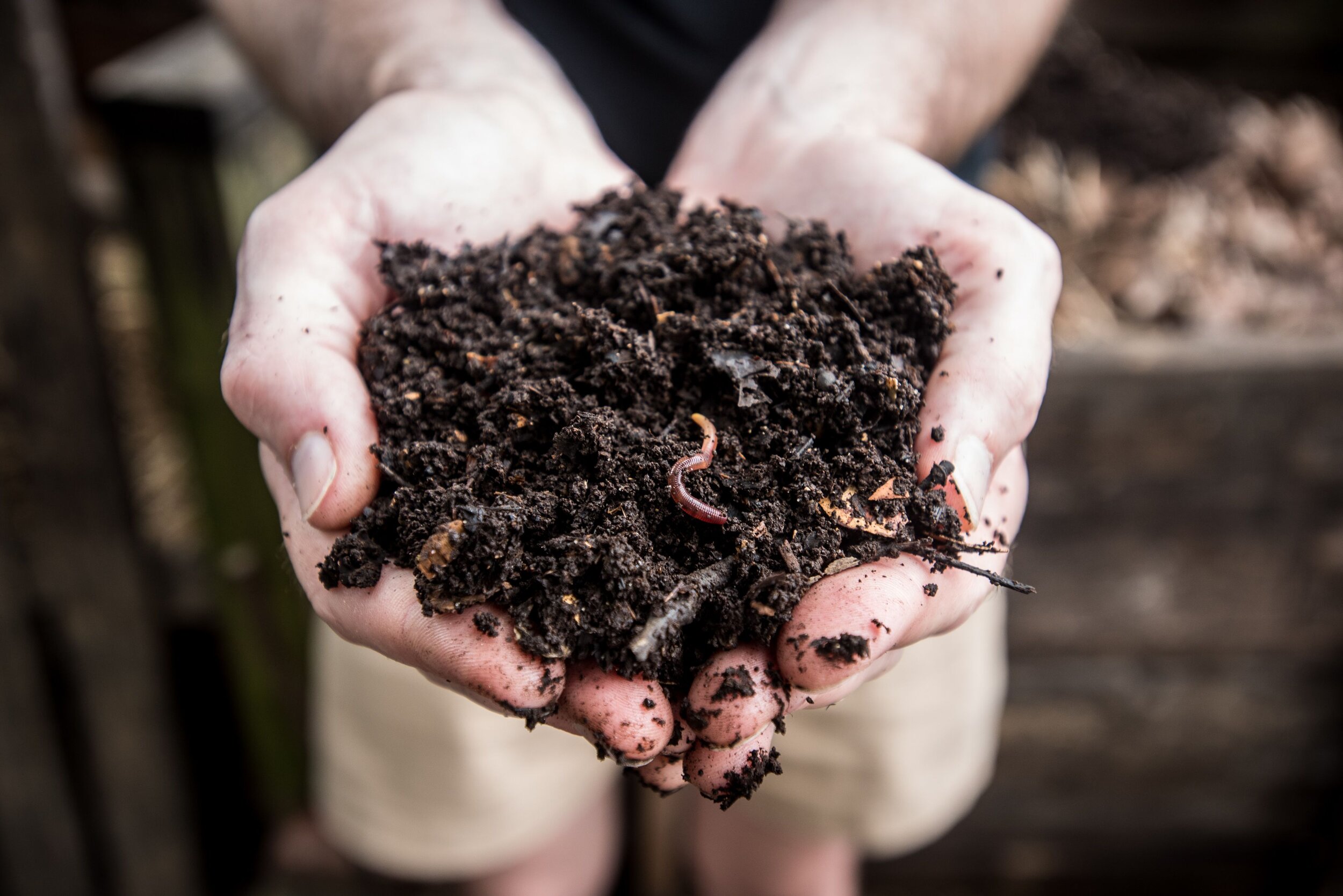 International Compost Awareness Week 