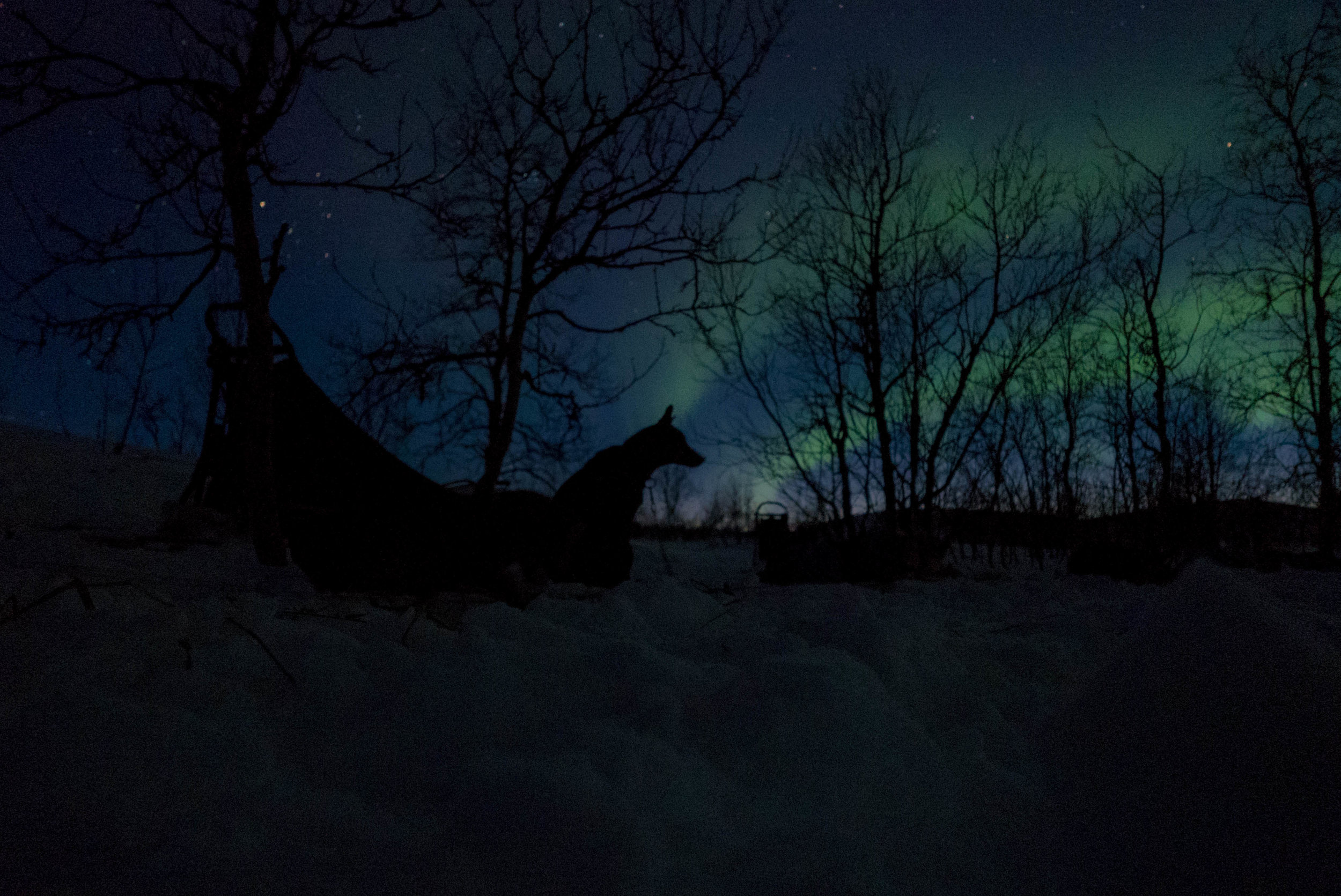 Sweden-1050079.jpg