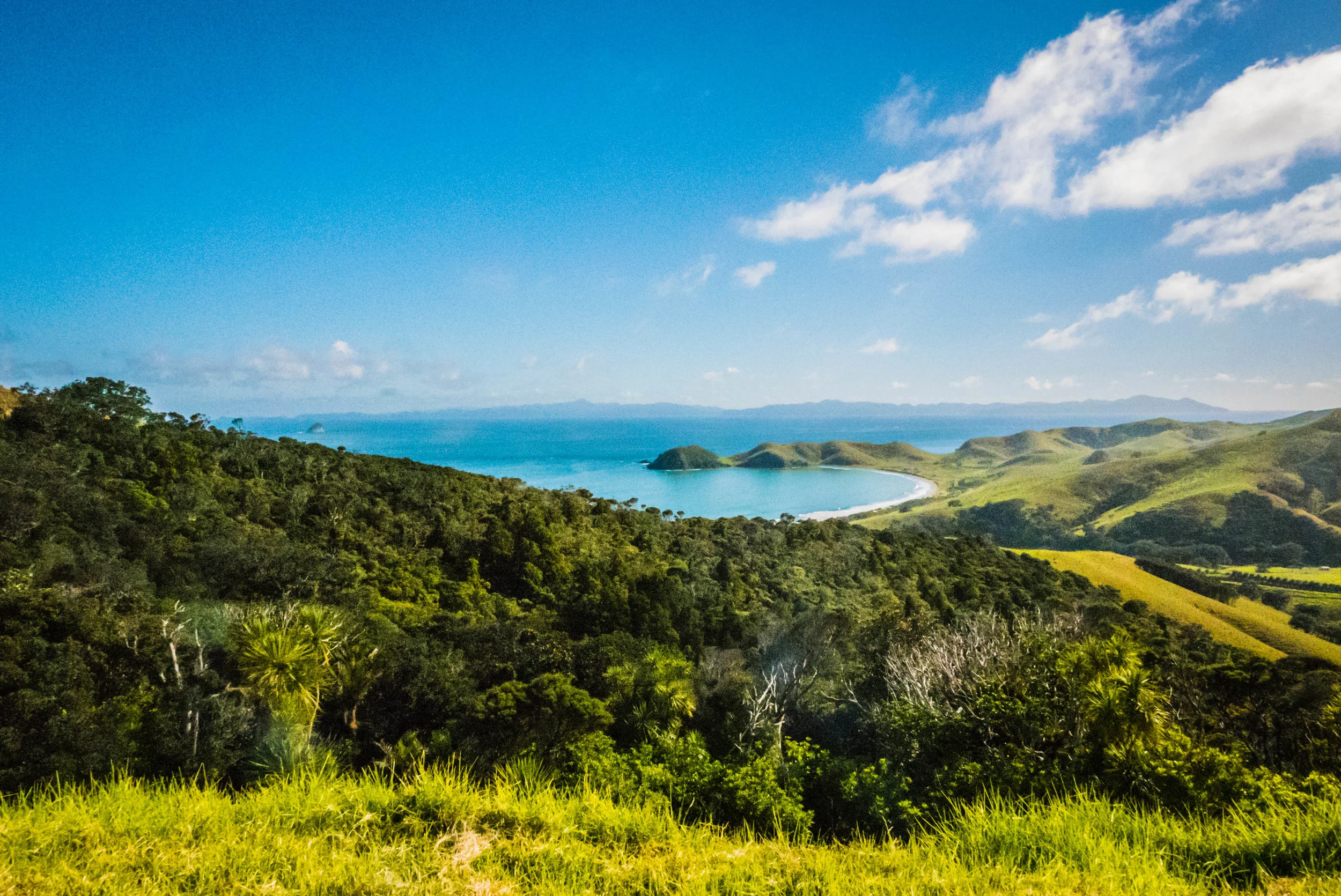 New Zealand-1020866.jpg