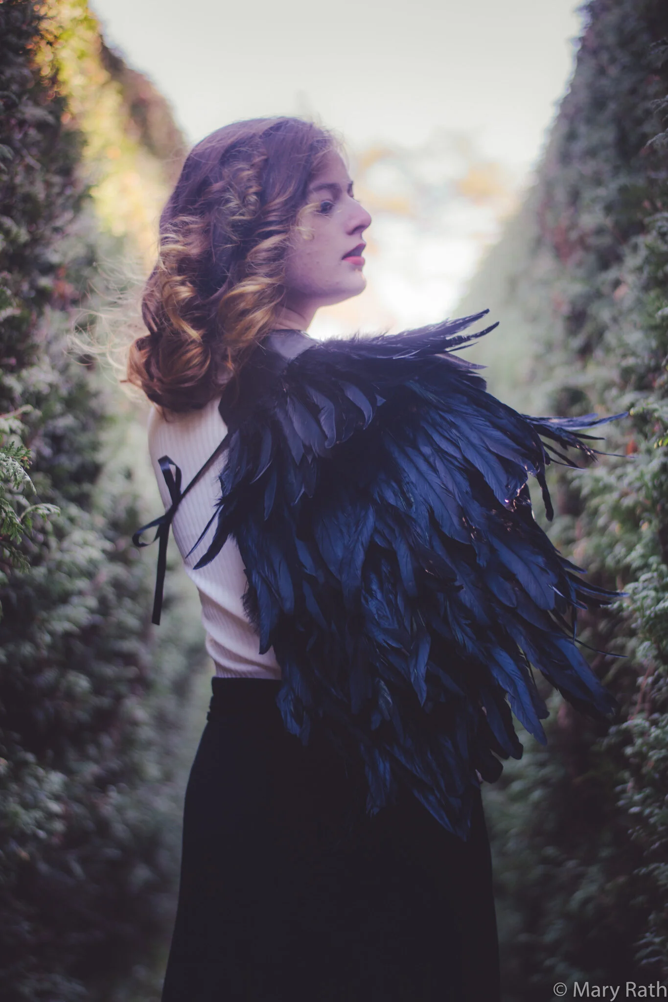 fairytale-hedgemaze-1-7.jpg