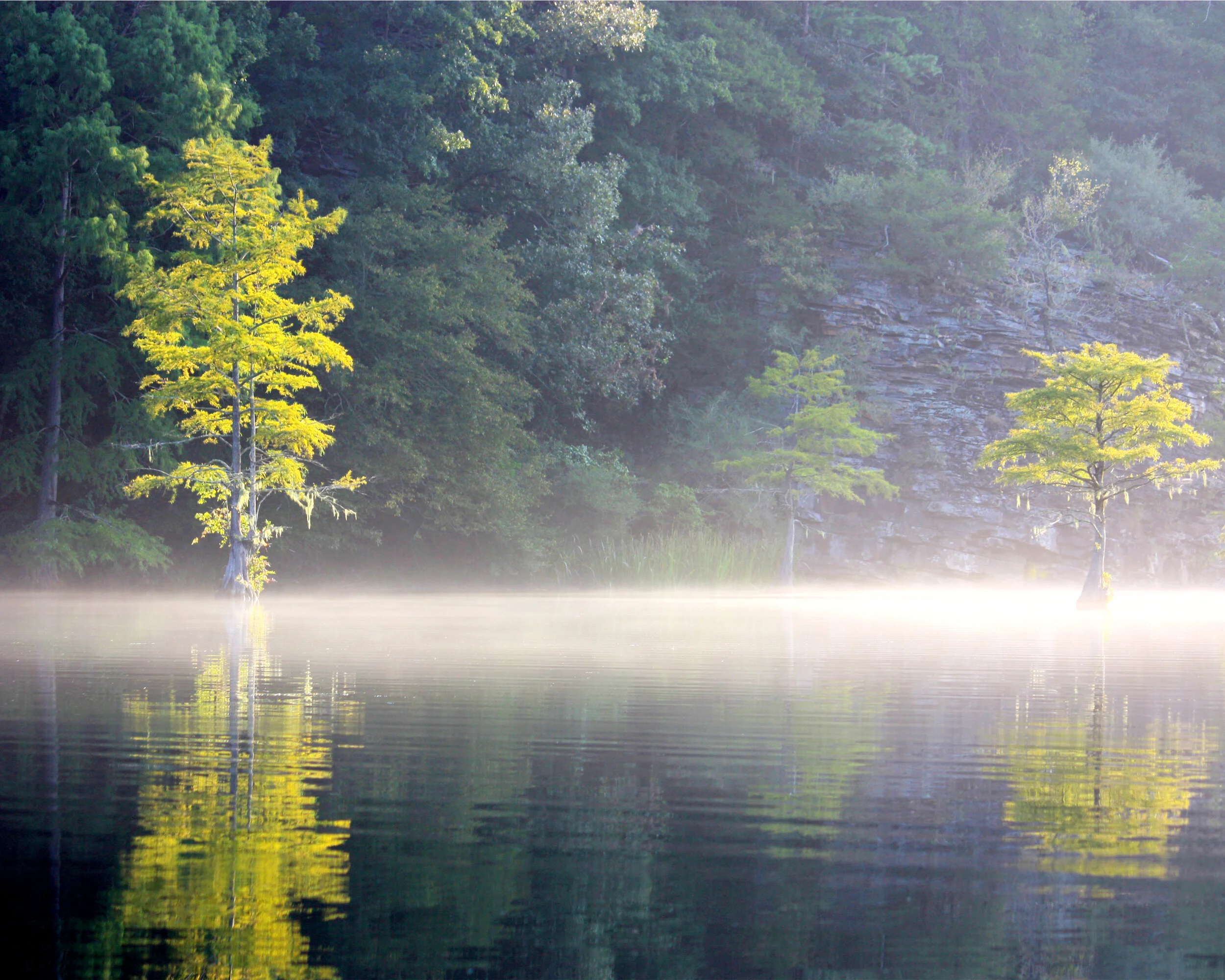 Camping at Beaver's Bend: A Serene Family Getaway, Almost