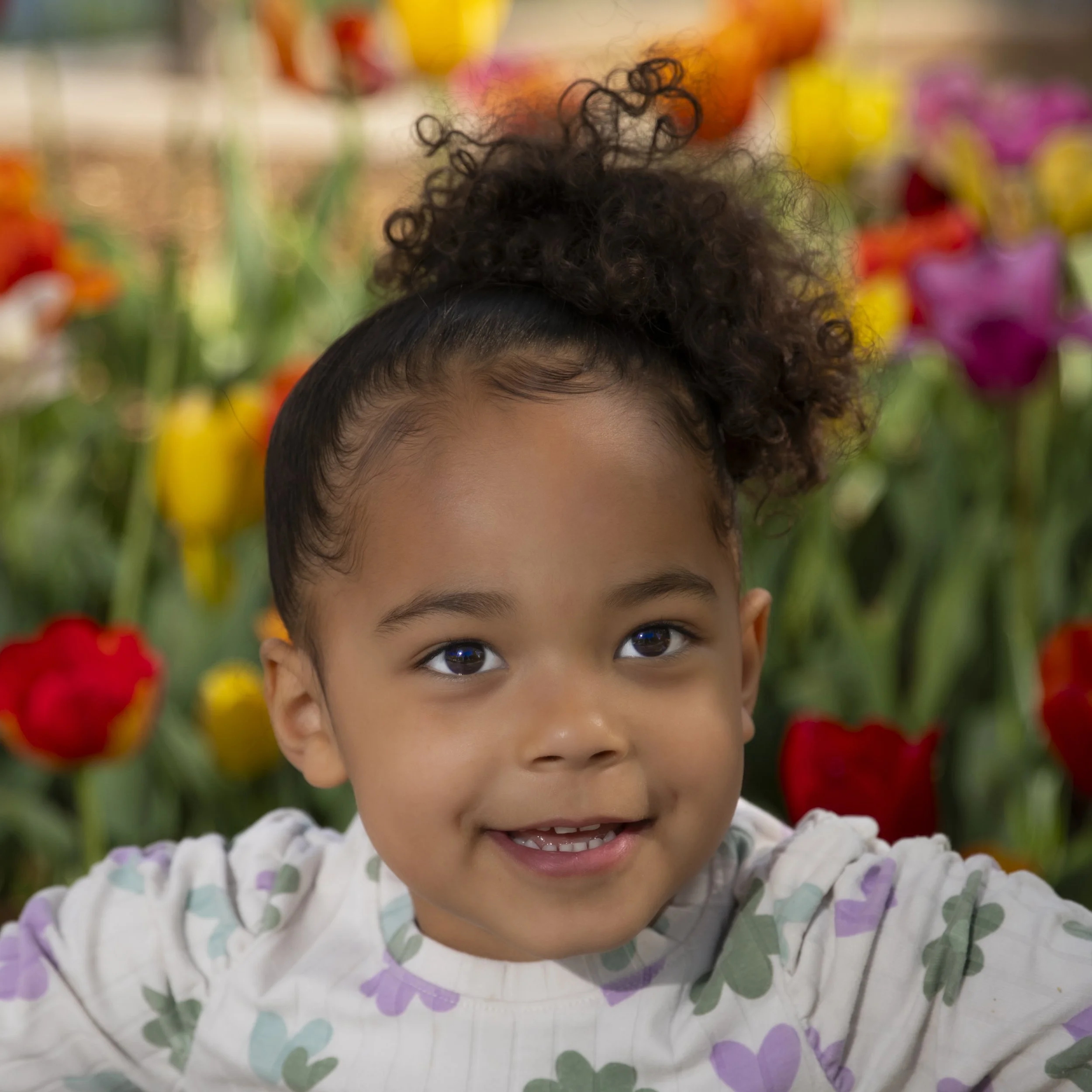 040825_Tulips_Kaia_7.jpg