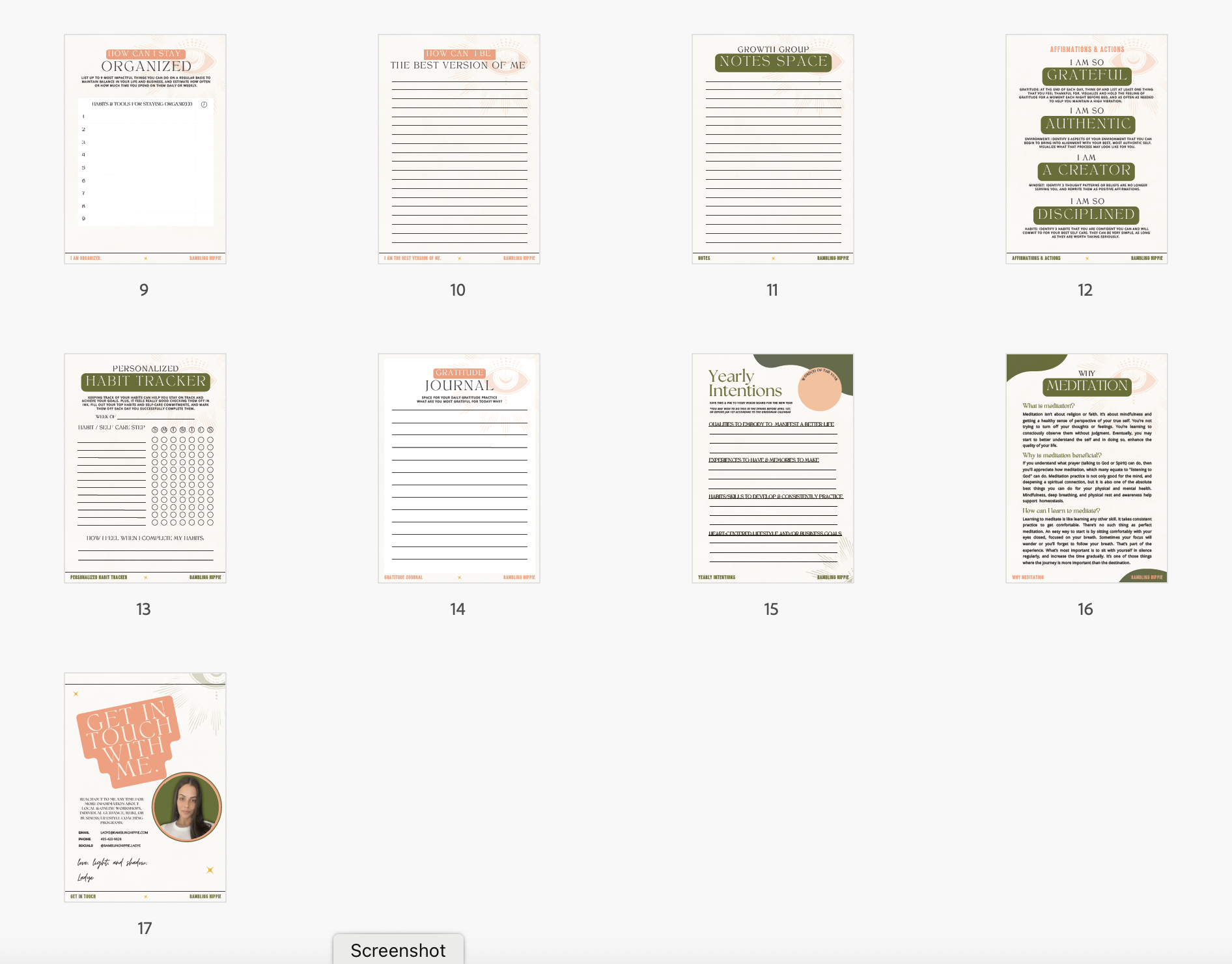 Packet Screenshot 2.png