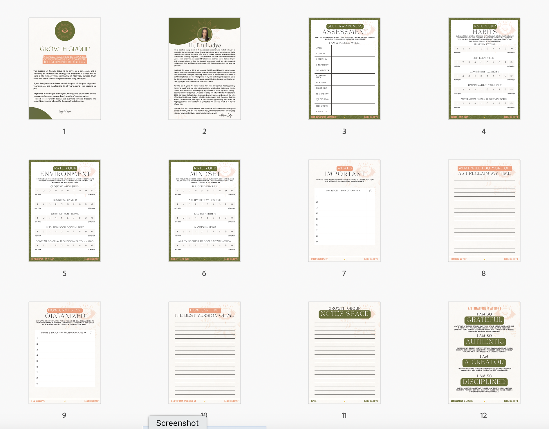 Packet Screenshot 1.png