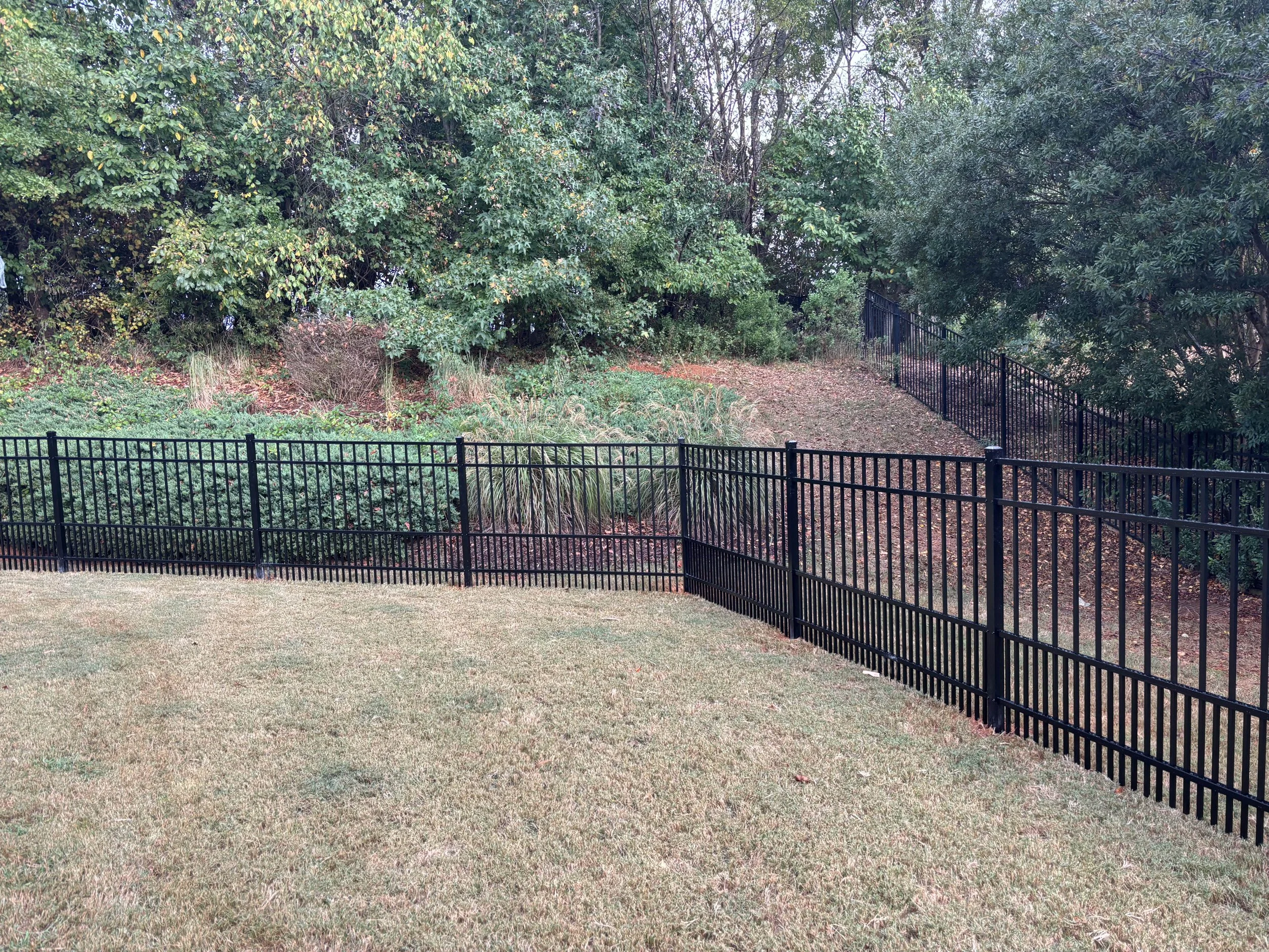 Puppy_Picket_Fence.jpg