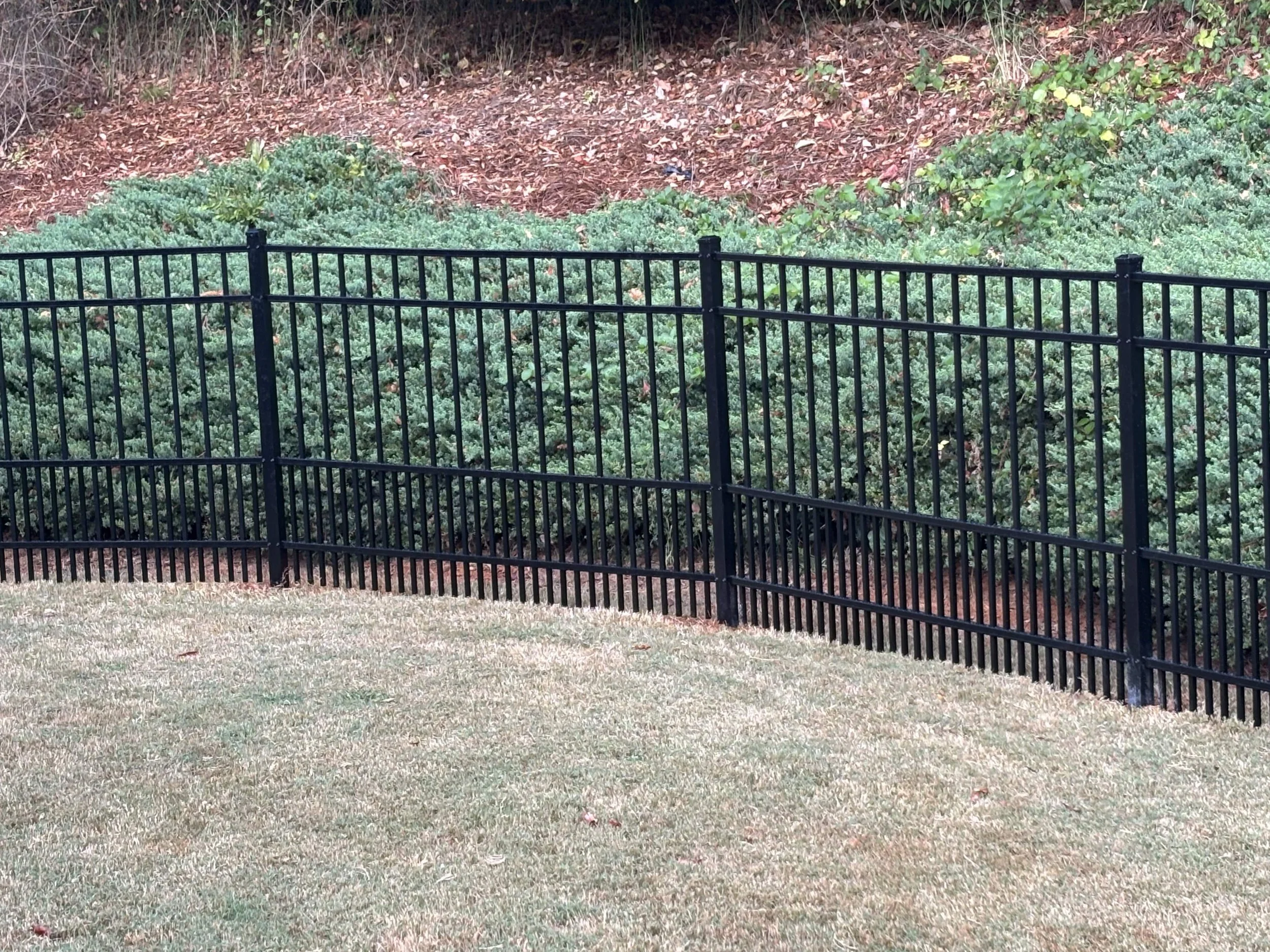 Puppy_Picket_Fence_2.jpg