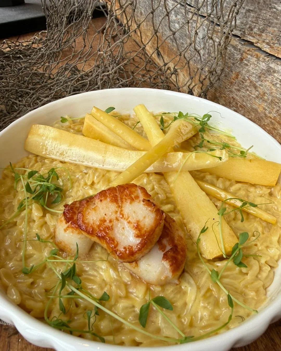 𝓢𝓪𝓽𝓾𝓻𝓭𝓪𝔂 𝓷𝓲𝓰𝓱𝓽 𝓢𝓟𝓔𝓒𝓘𝓐𝓛 ✨ 

Pan Seared Scallops 🍽️ 
&bull; sweet &amp; spicy parsnip 
&bull; creamy orange orzo 
.
.
.

#mplsfood #MnEats #leader1918 #mnrestaurants #mnchefs #cambridgemn #mneats #isantimn #dinnerisserved #mplschef
