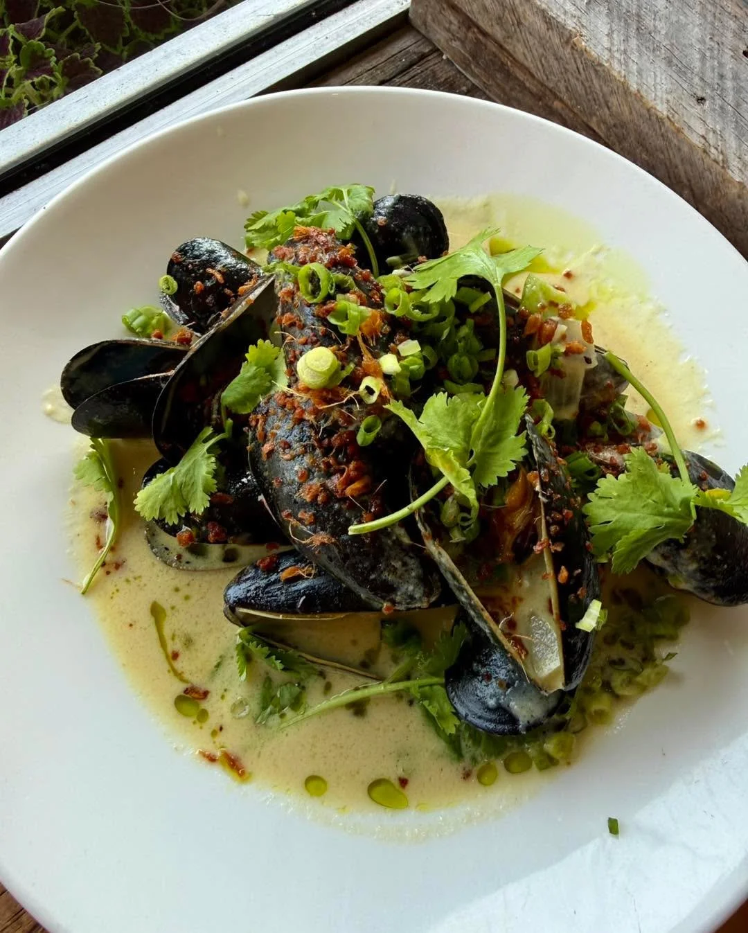 Guests are absolutely loving this new snack on our menu! 💚 

Try our 🌟 N E W 🌟 
𝓖𝓻𝓮𝓮𝓷 𝓒𝓾𝓻𝓻𝔂 𝓟𝓔𝓘 𝓜𝓾𝓼𝓼𝓮𝓵𝓼 💫 

&bull; coconut 
&bull; green curry sauce
&bull; onions
&bull; bell peppers
&bull; charred lime 

** you will want a si