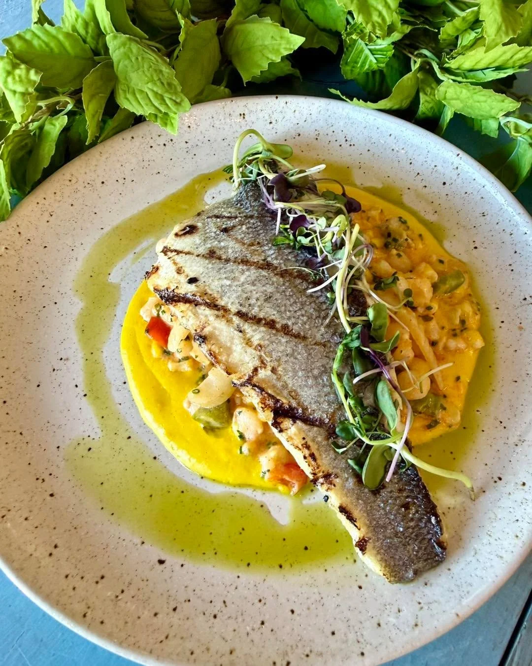 Our 𝓖𝓻𝓲𝓵𝓵𝓮𝓭 𝓑𝓻𝓸𝓷𝔃𝓲𝓷𝓲 is fast becoming a fan favorite for the seafood lover! 🐟 
&bull; corn puree
&bull; hominy succotash
&bull; braised fennel

It&rsquo;s outstanding! Come try it for yourself tonight 🍽️ 

𝓡𝓮𝓼𝓽𝓪𝓾𝓻𝓪𝓷𝓽 : 7am 