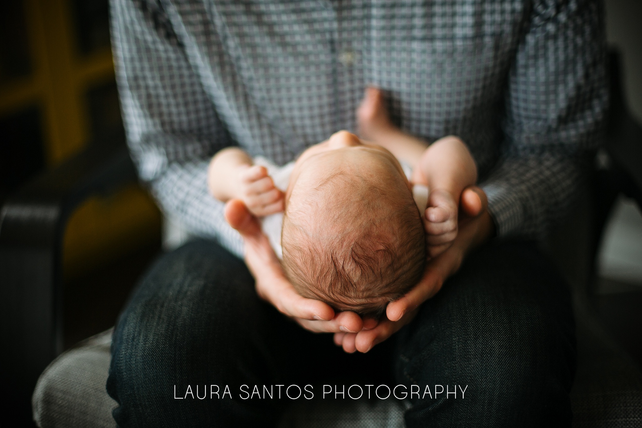 Laura Santos Photography Portland Oregon Family Photographer_0298.jpg